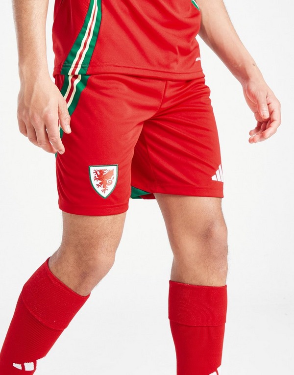 adidas Wales 2024 Heim Shorts Kinder