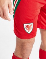 adidas Wales 2024 Home Shorts Junior