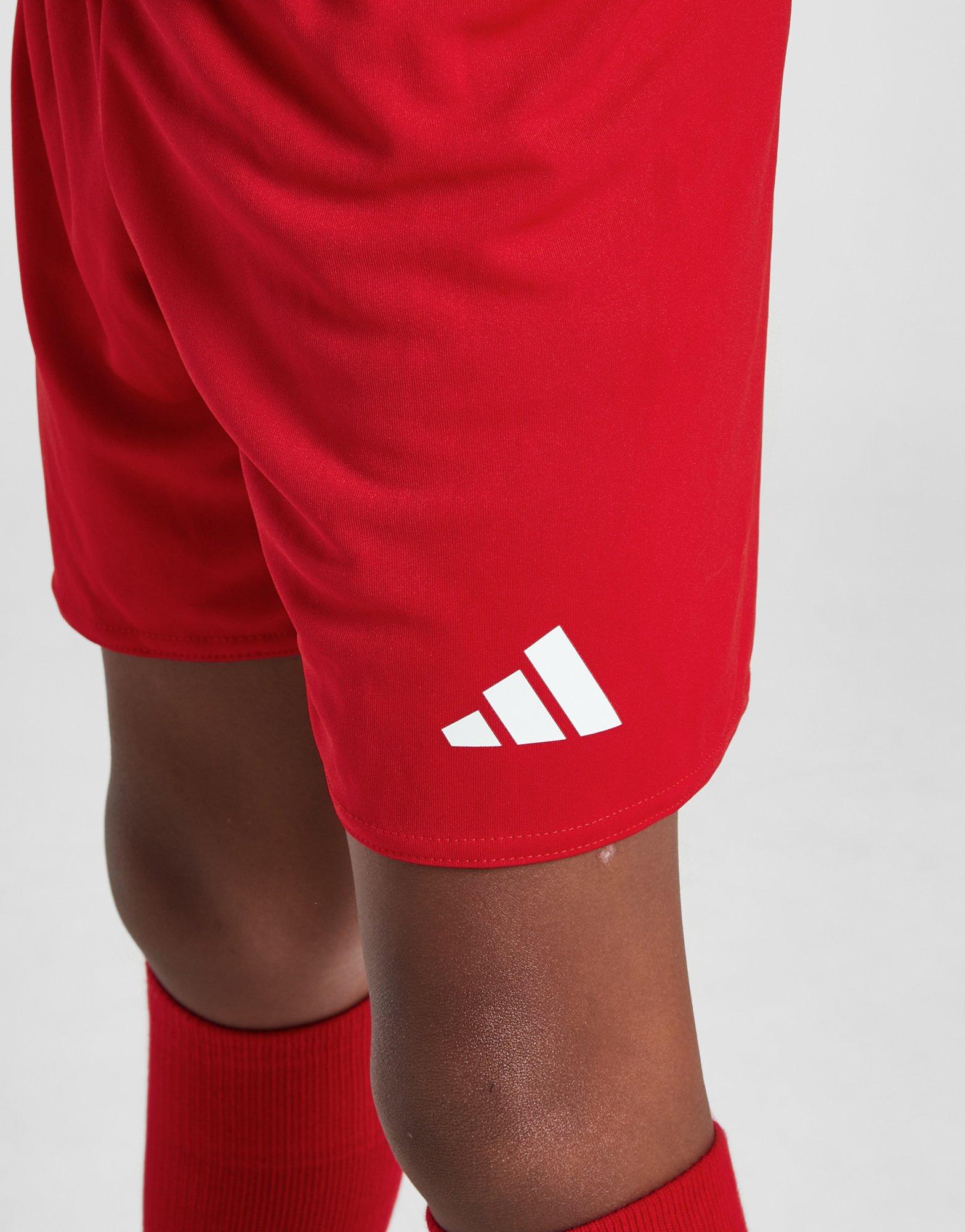 adidas Wales 2024 Home Kit Children