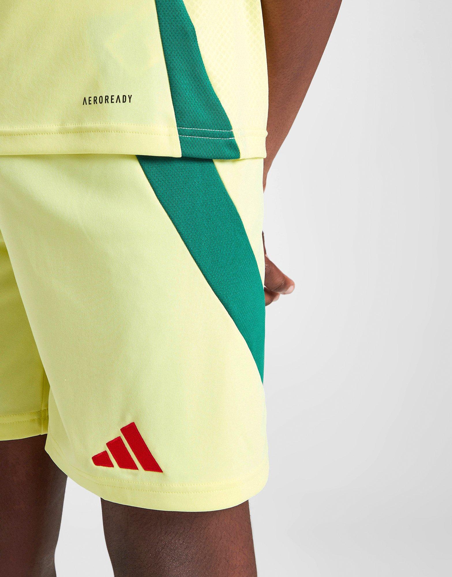 adidas Wales 2024 Away Shorts Junior