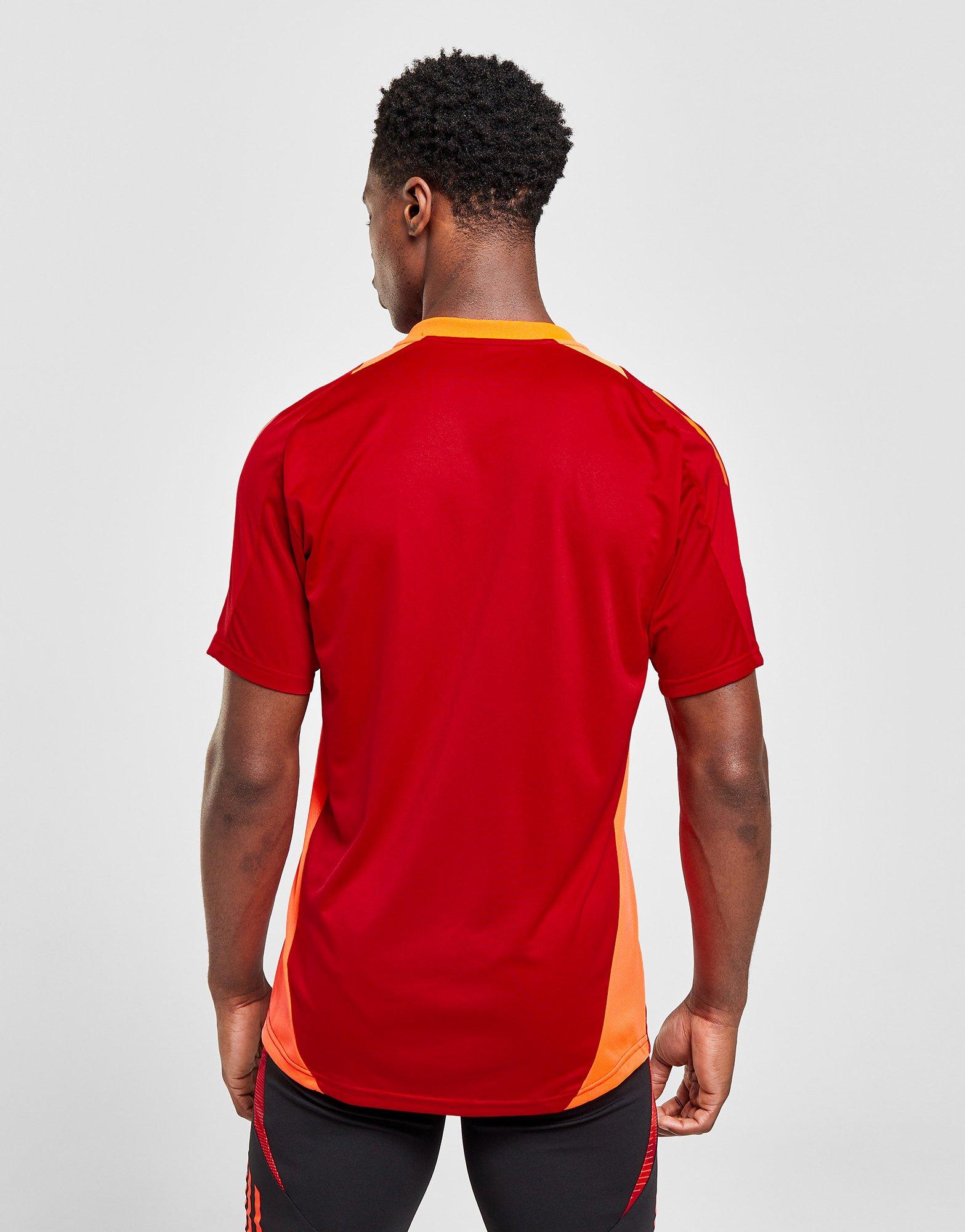 adidas Wales Tiro 24 Training Shirt