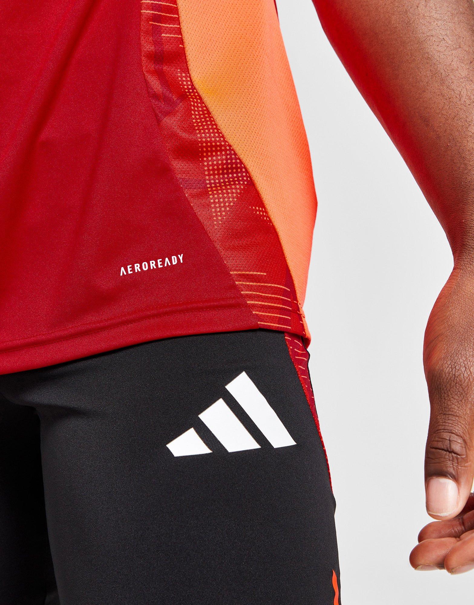 adidas Wales Tiro 24 Training Shirt