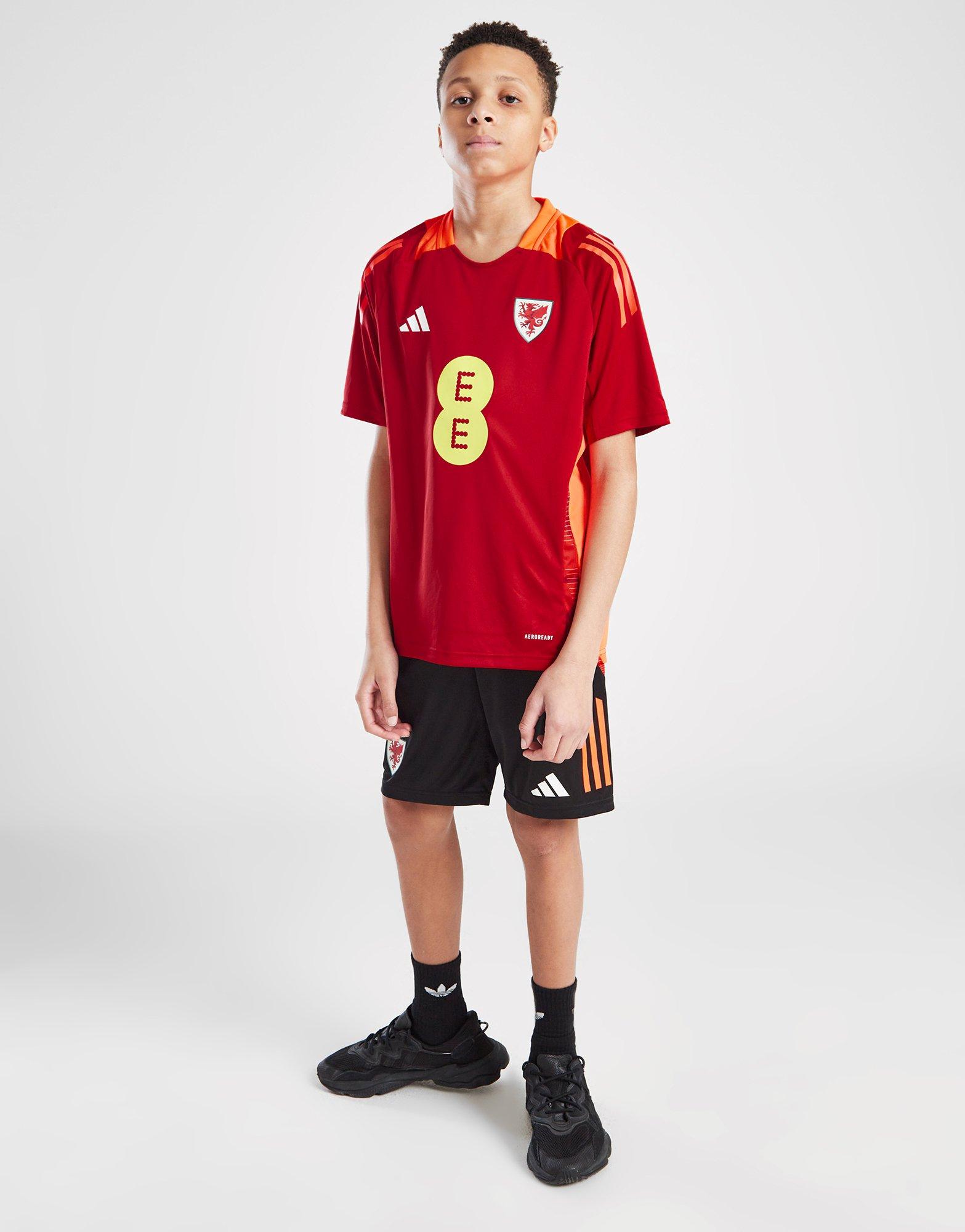 adidas Wales Tiro 24 Training Shirt Junior