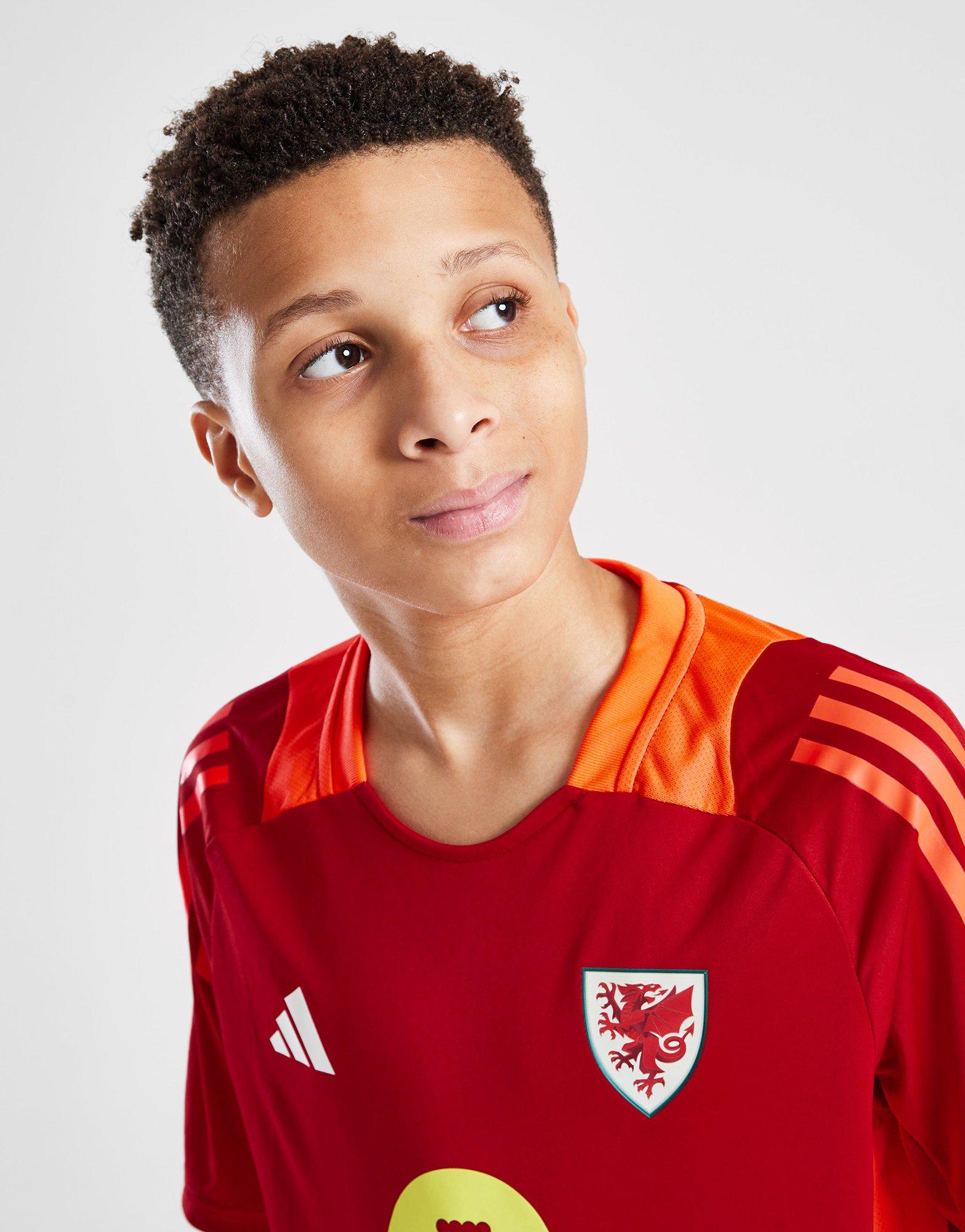 adidas Wales Tiro 24 Training Shirt Junior