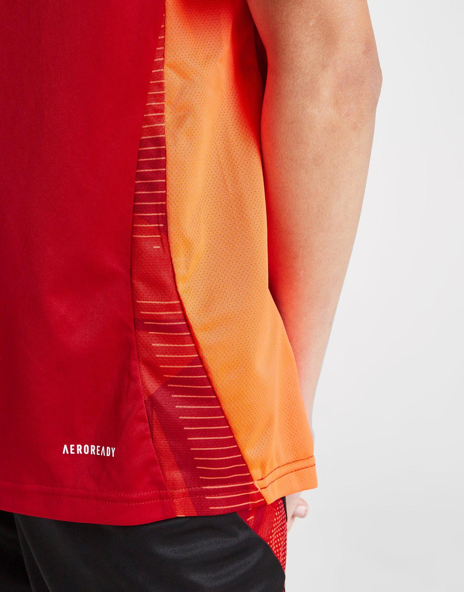 adidas Wales Tiro 24 Training Shirt Junior