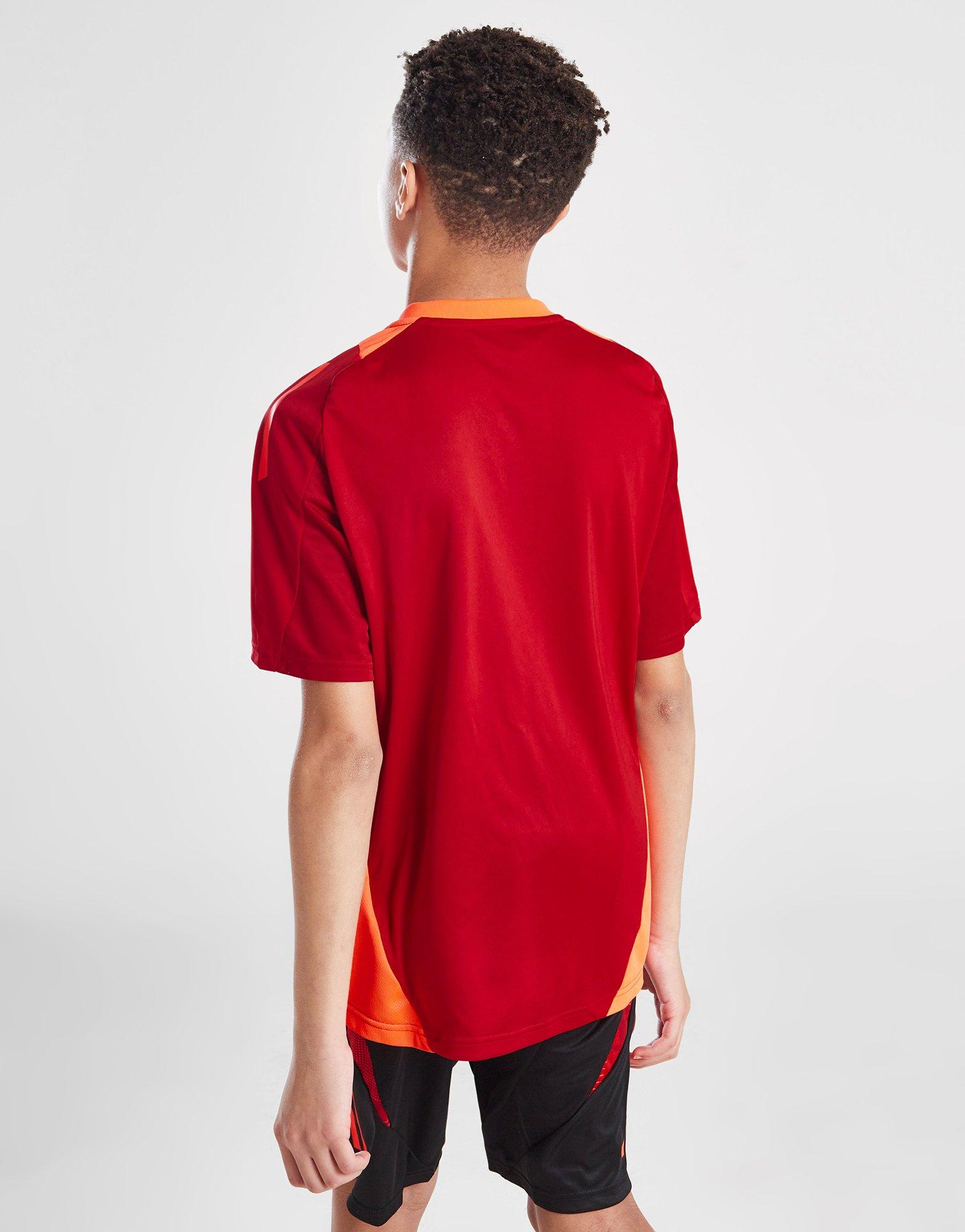 adidas Wales Tiro 24 Training Shirt Junior