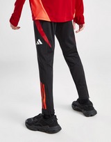 adidas Wales Tiro 24 Training Track Pants Junior