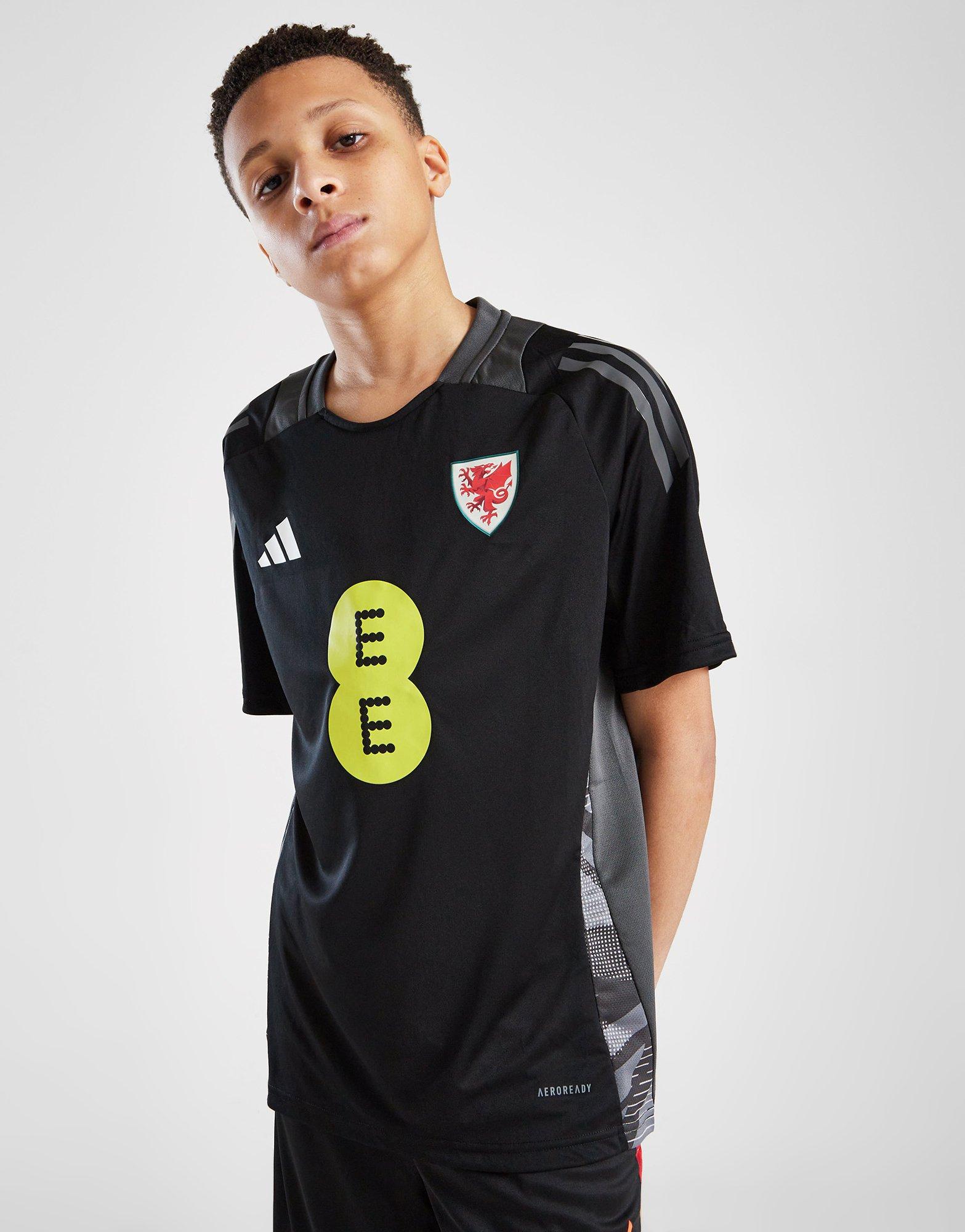 adidas Wales Tiro 24 Training Shirt Junior