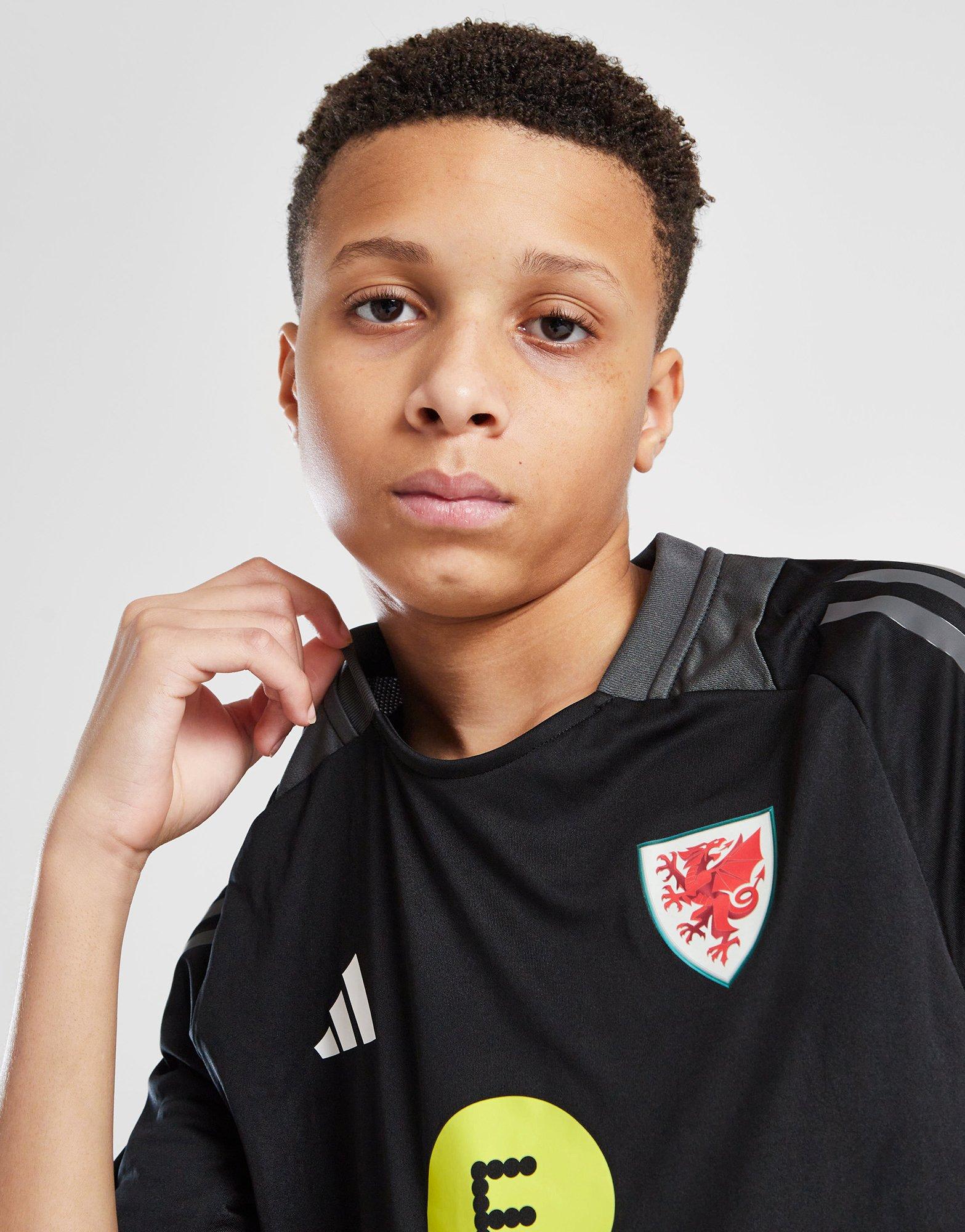 adidas Wales Tiro 24 Training Shirt Junior