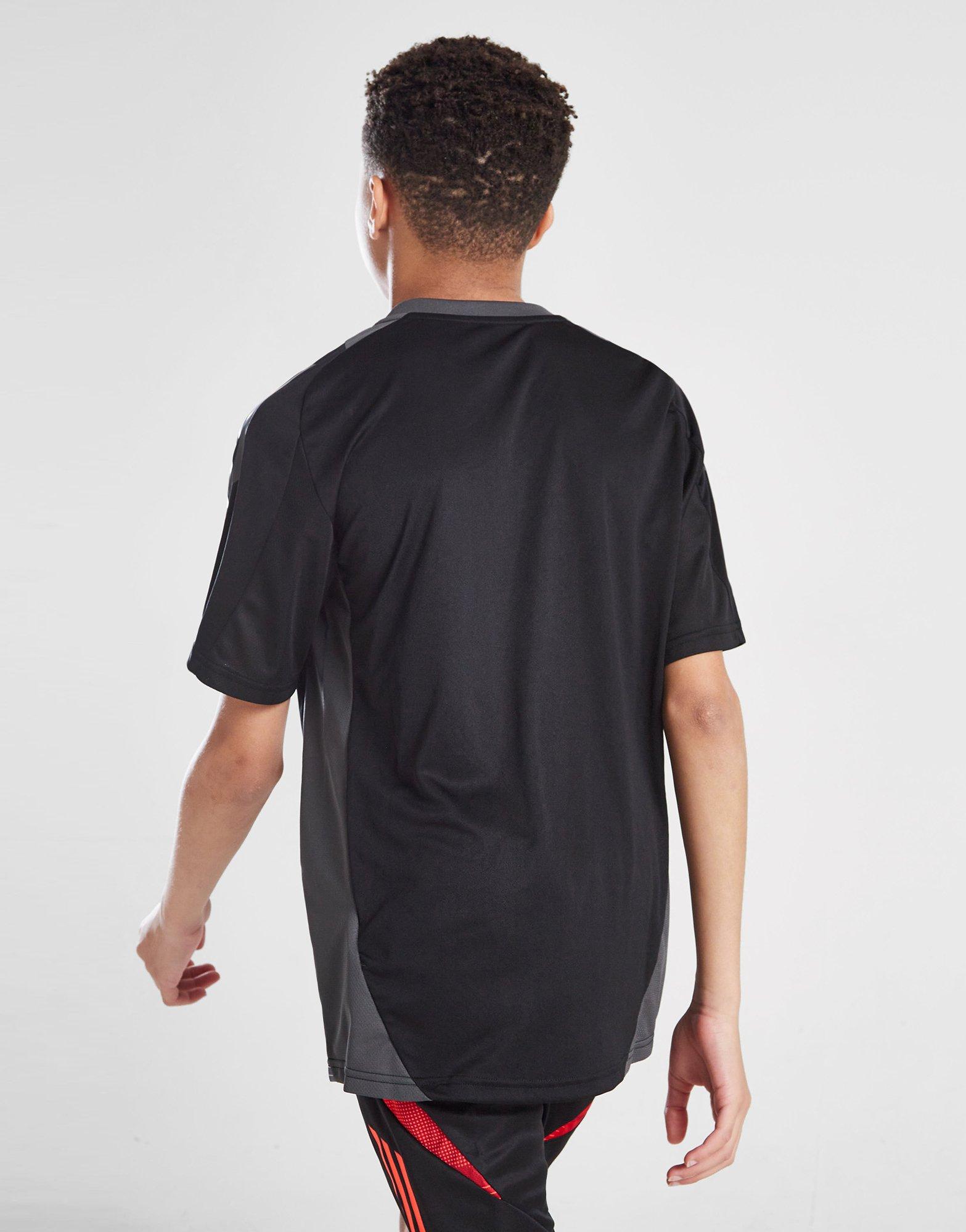 adidas Wales Tiro 24 Training Shirt Junior