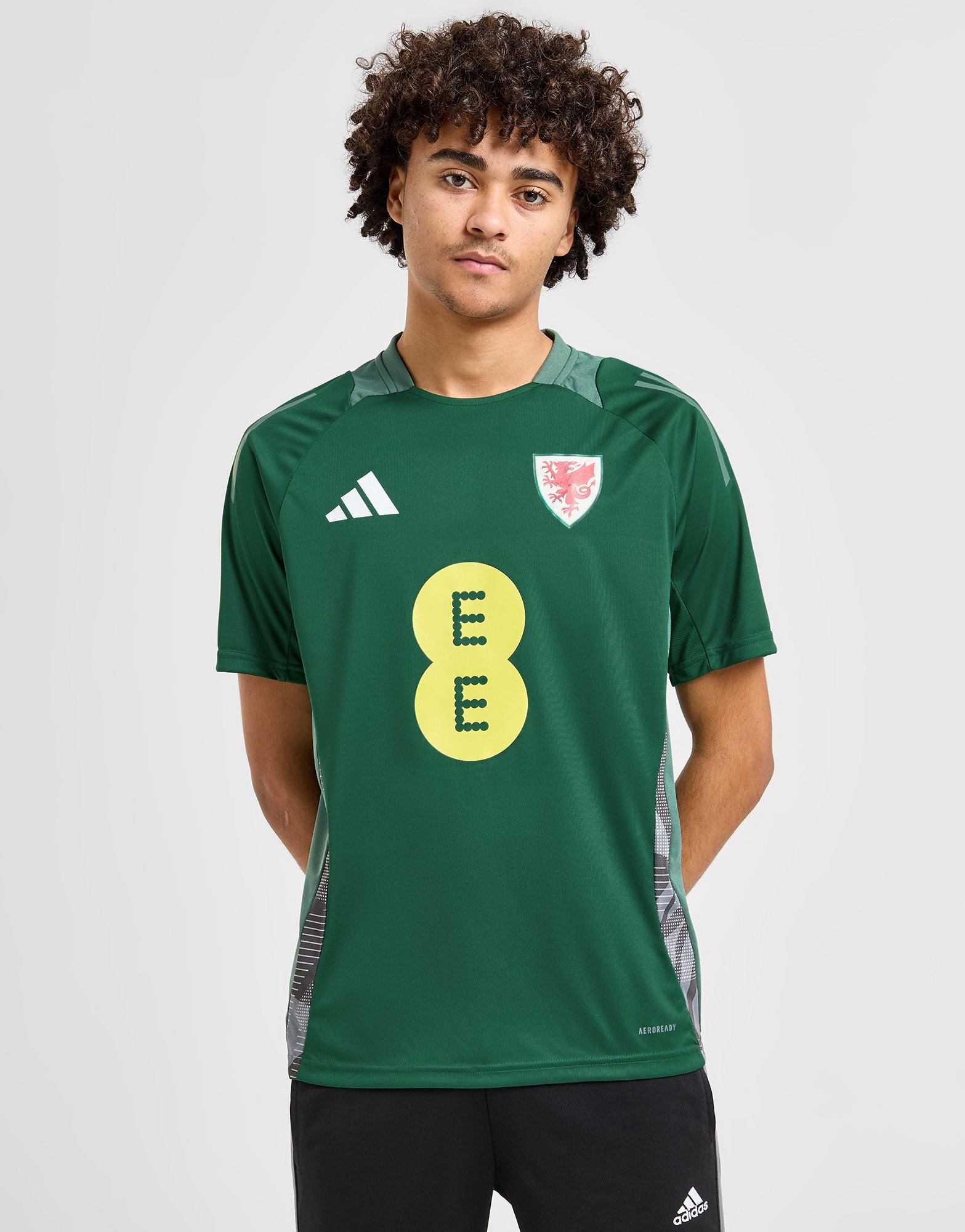 Green adidas Wales Tiro 24 Training Shirt | JD Sports UK