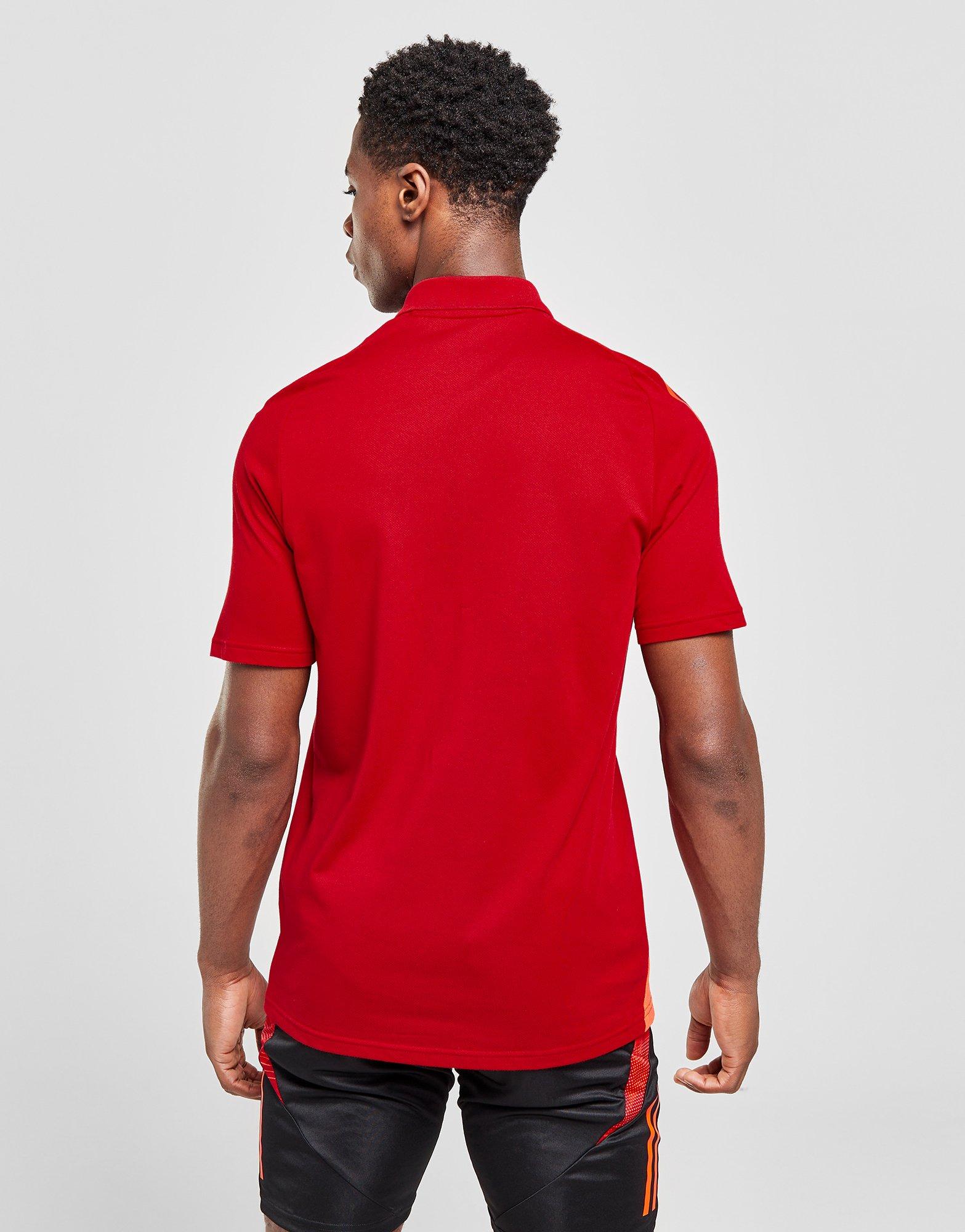 adidas Wales Tiro 24 Polo Shirt