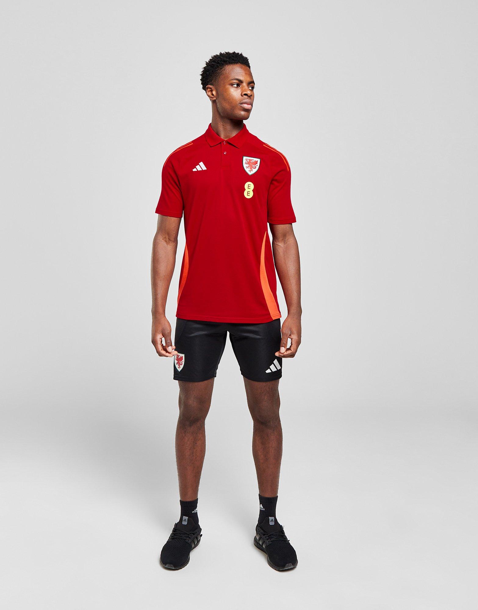 adidas Wales Tiro 24 Polo Shirt