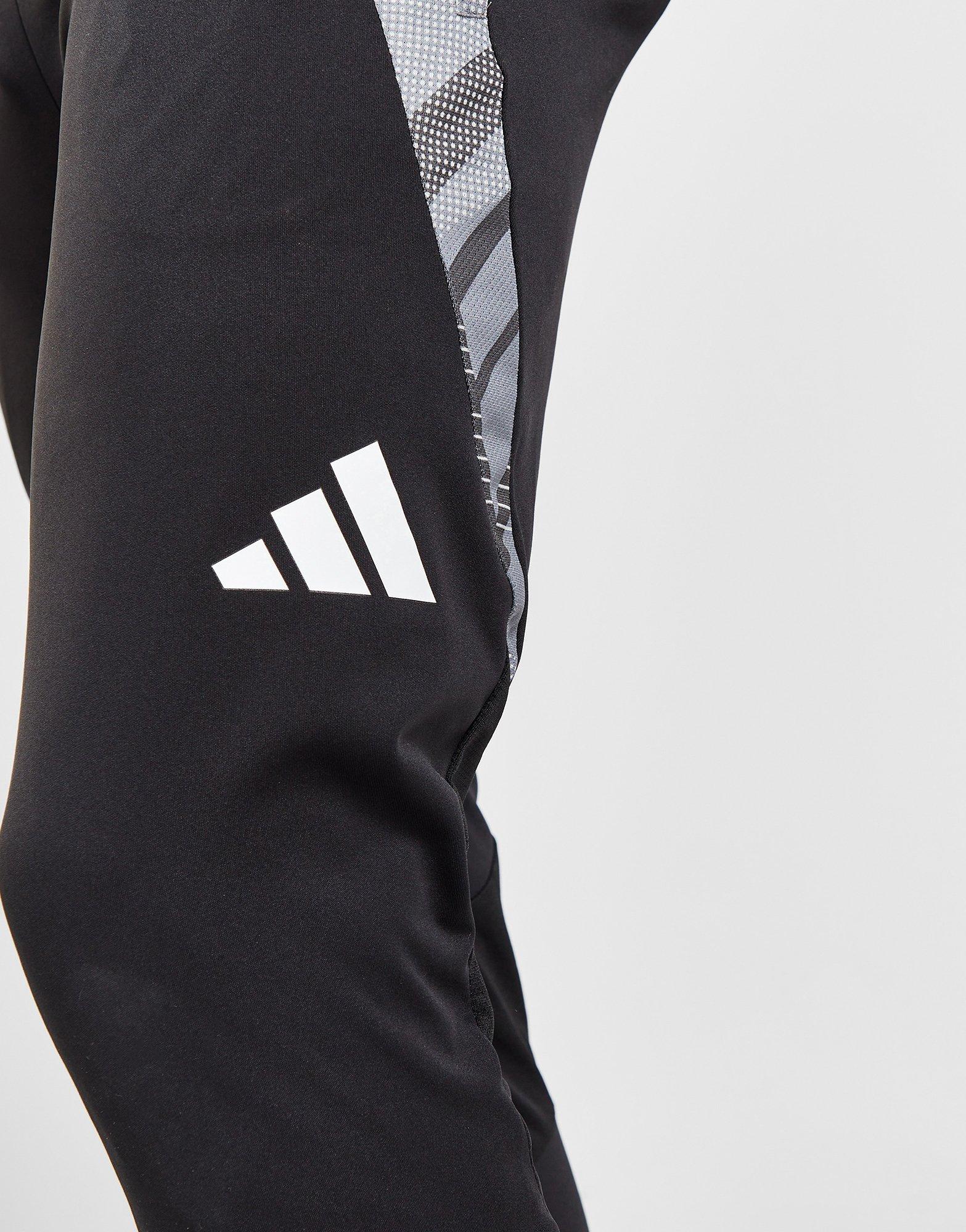 adidas Northern Ireland Tiro 24 Training Track Pants