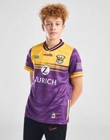 O'Neills Wexford GAA 2024/25 Home Shirt Junior