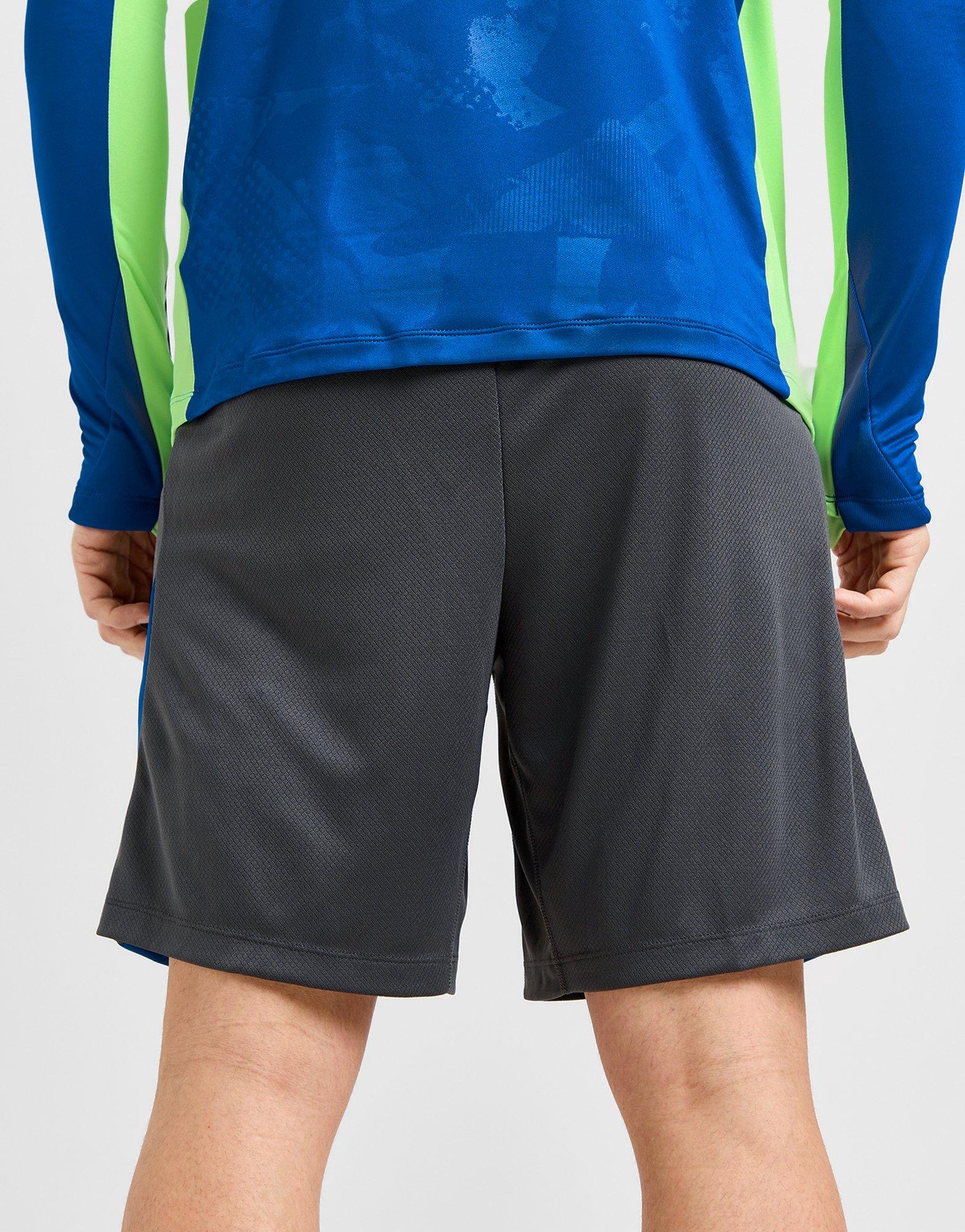 Nike FC Barcelona Strike Shorts