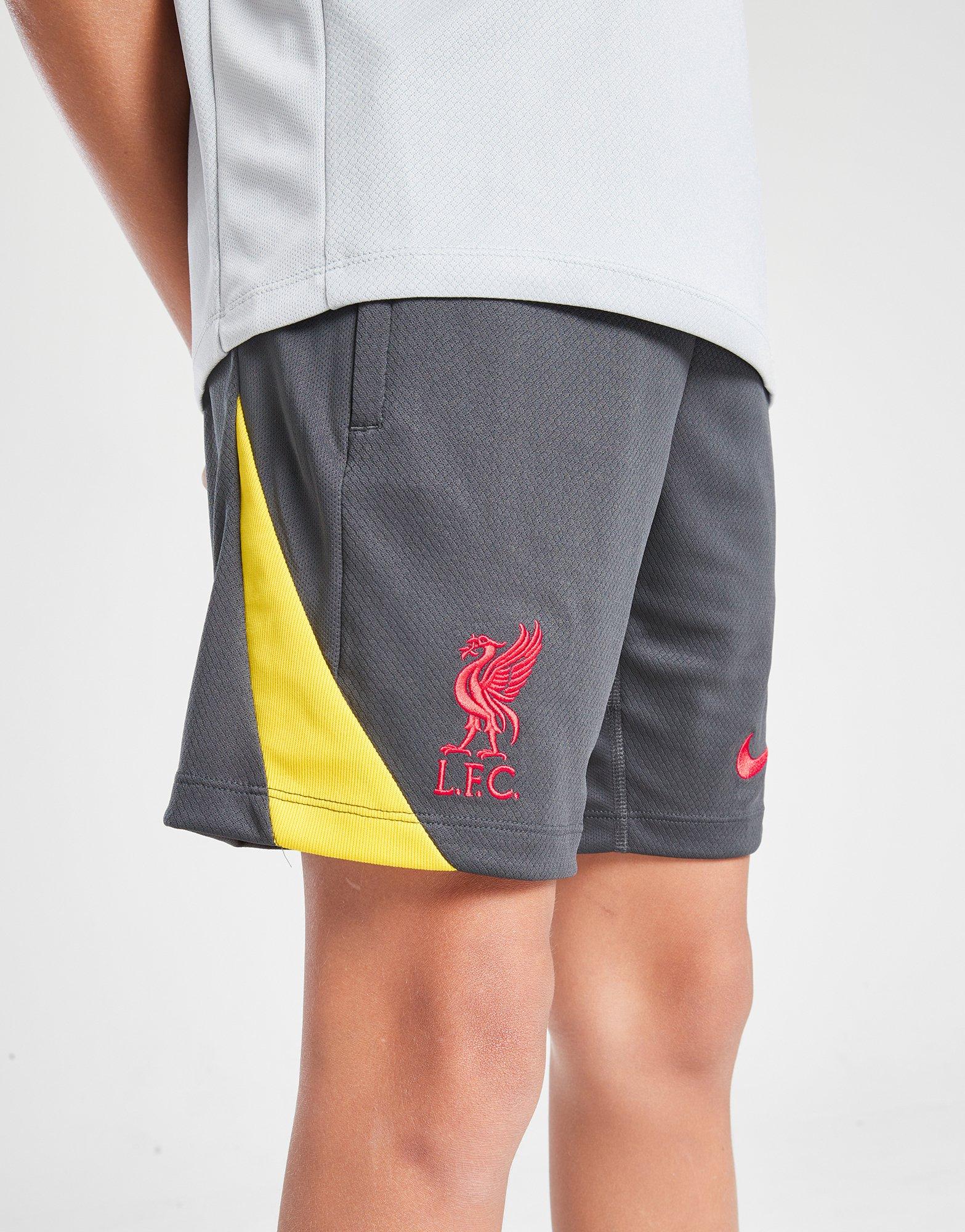 Nike Liverpool FC Strike Shorts Junior