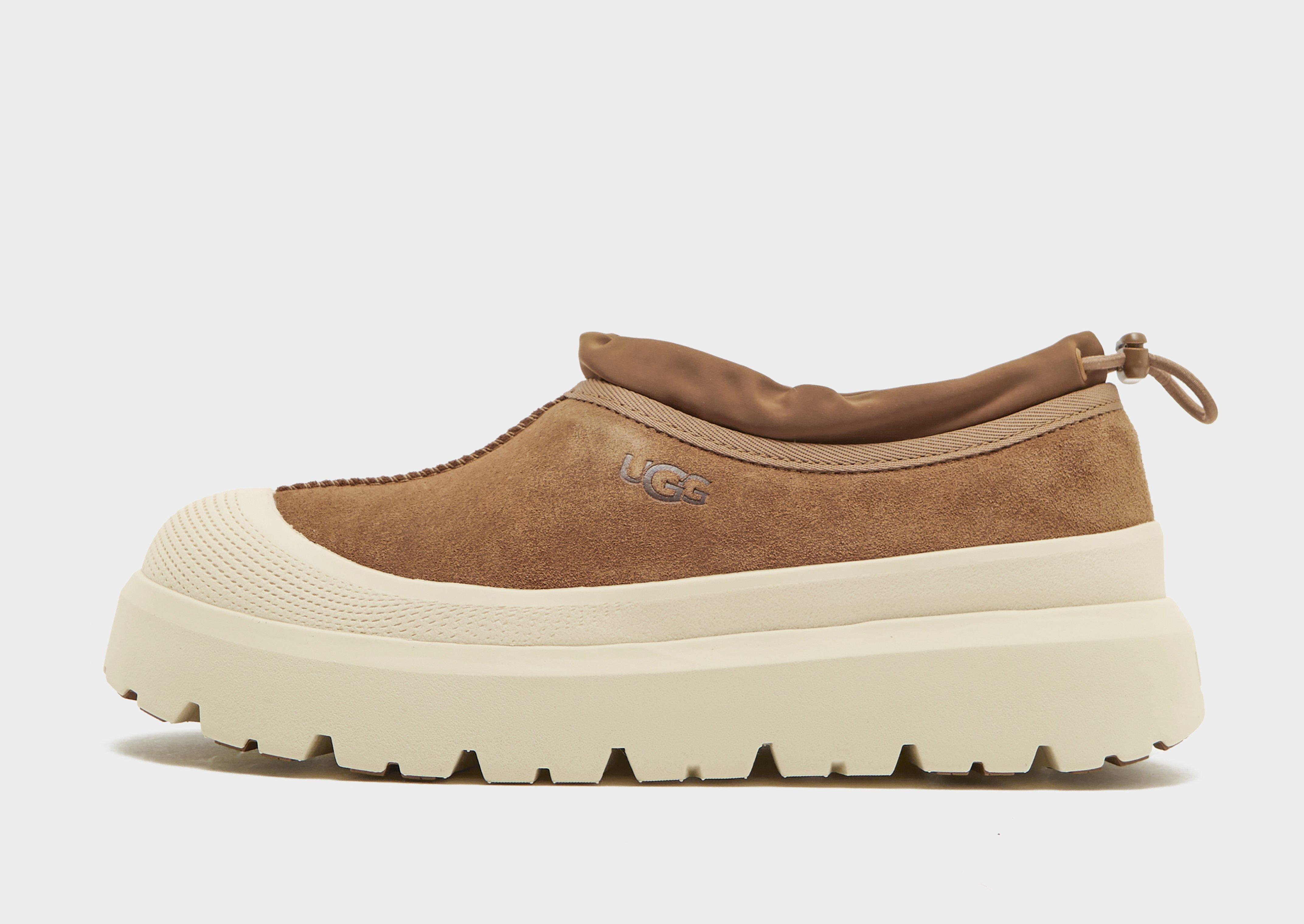 Ugg vans sales