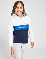 Lacoste Cut & Sew Overhead Felpe Junior