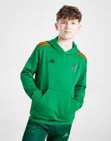 adidas Sweat à Capuche Celtic Origins Junior