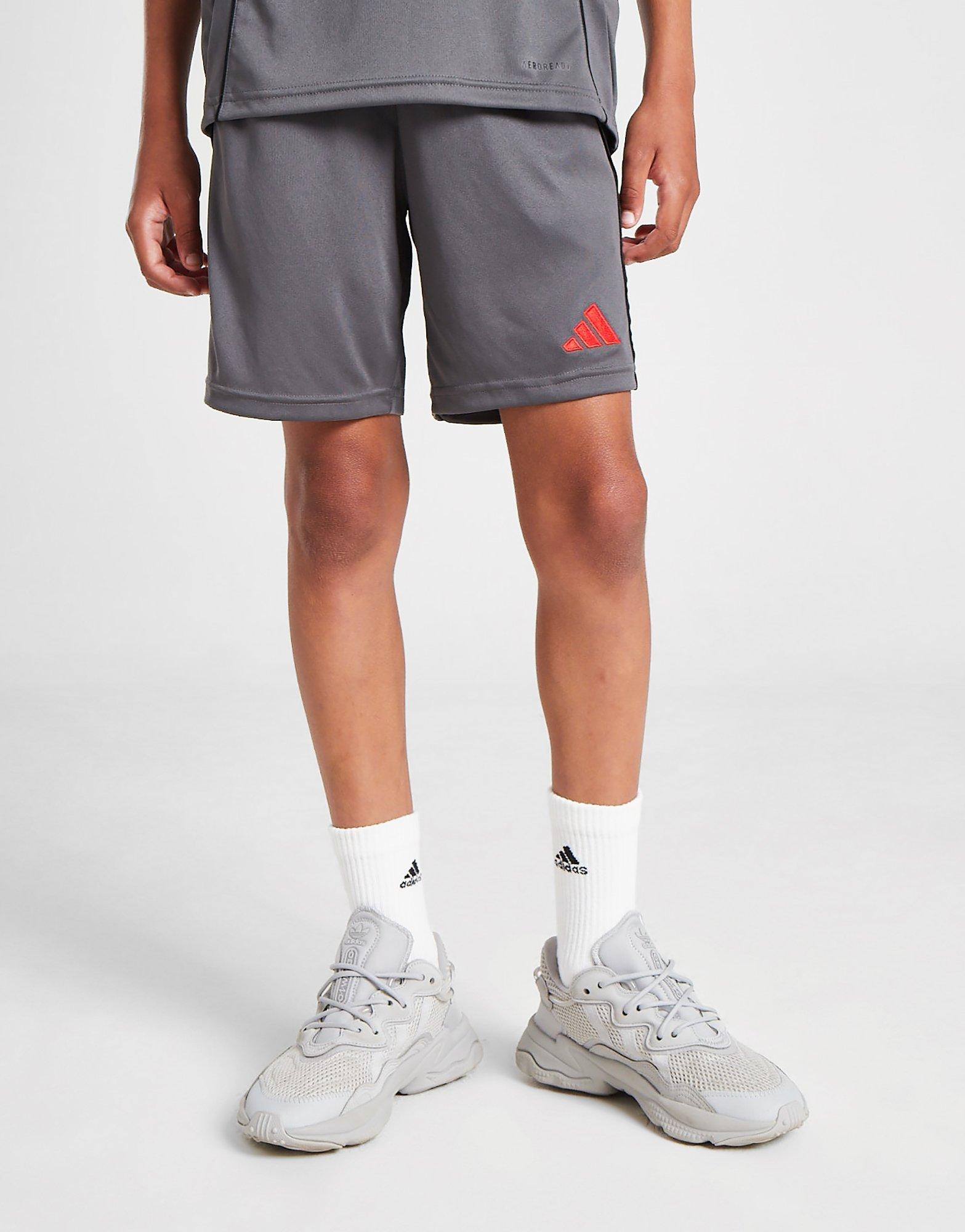 adidas Calções Tiro 24 Júnior