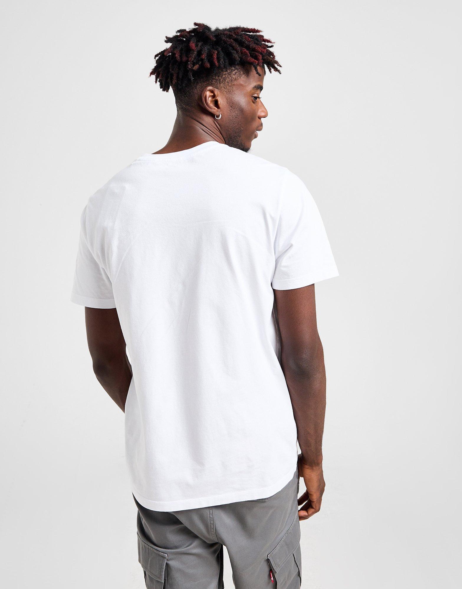 LEVI'S Mount Fuji T-Shirt