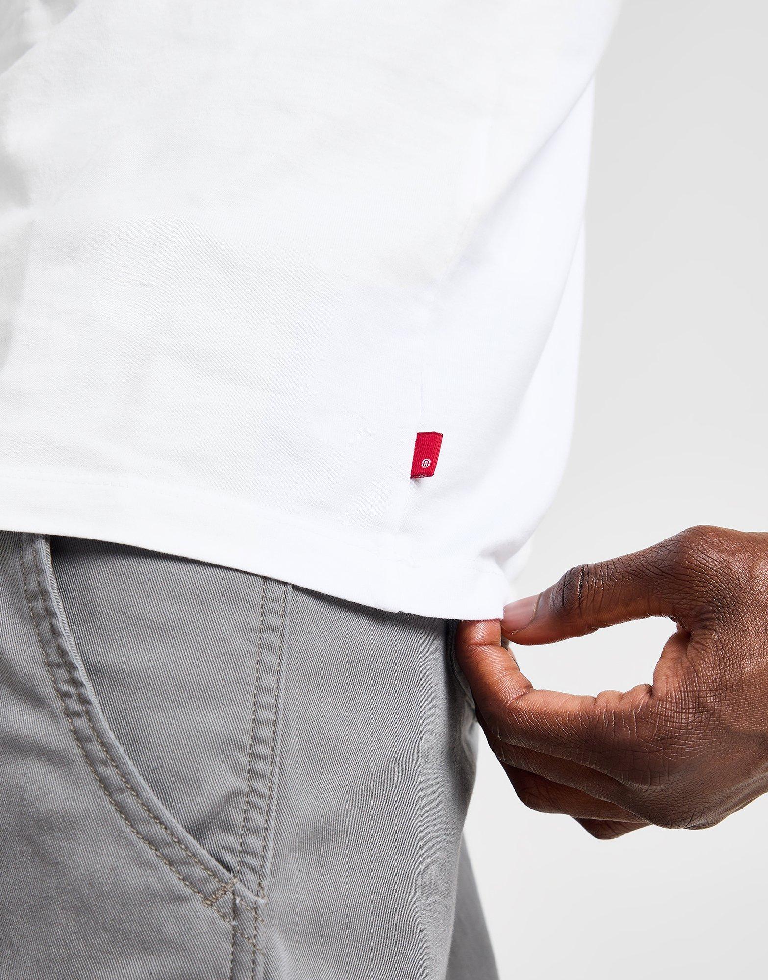 LEVI'S Mount Fuji T-Shirt
