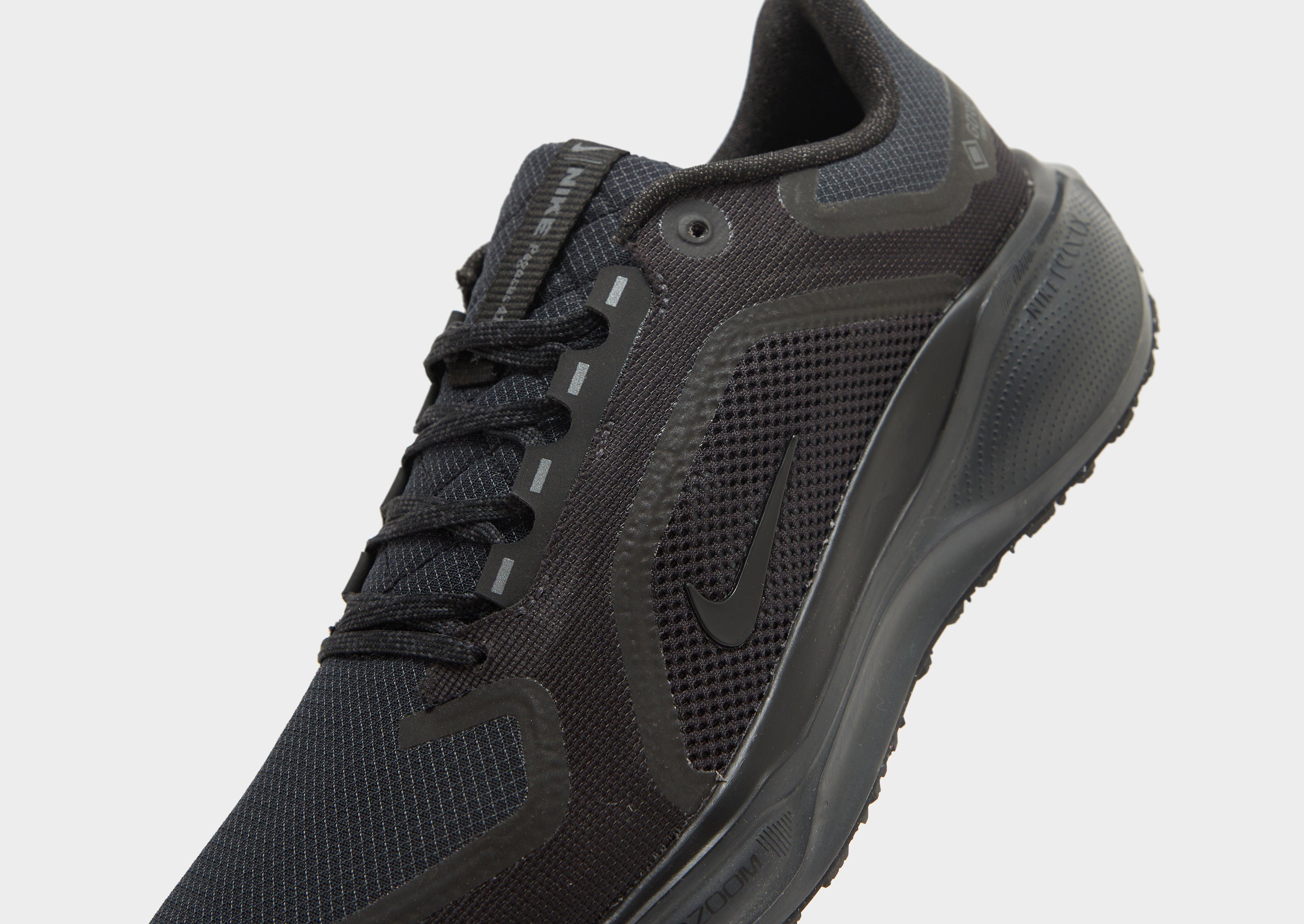 Nike Pegasus 41 GORE-TEX