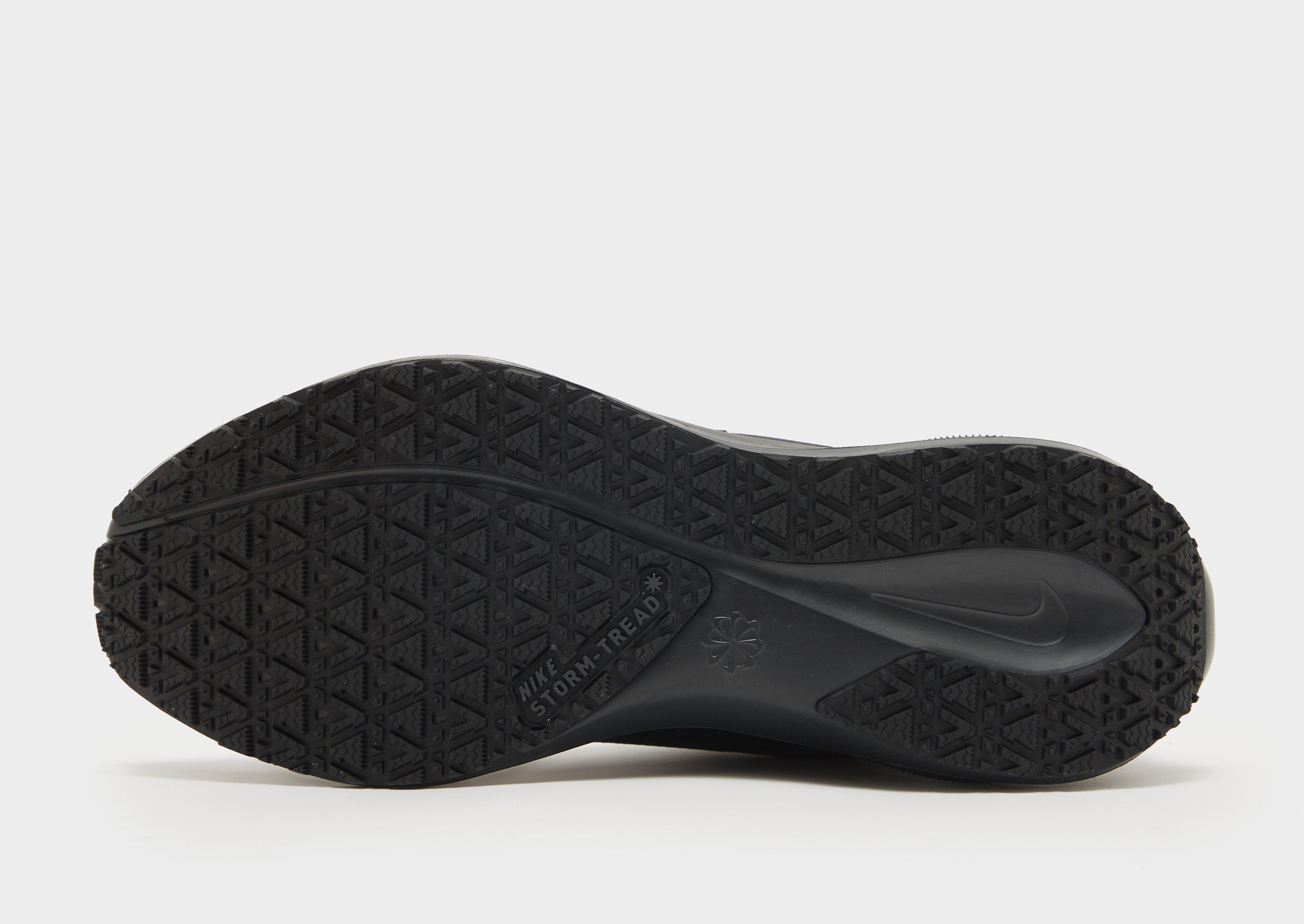 Nike Pegasus 41 GORE-TEX