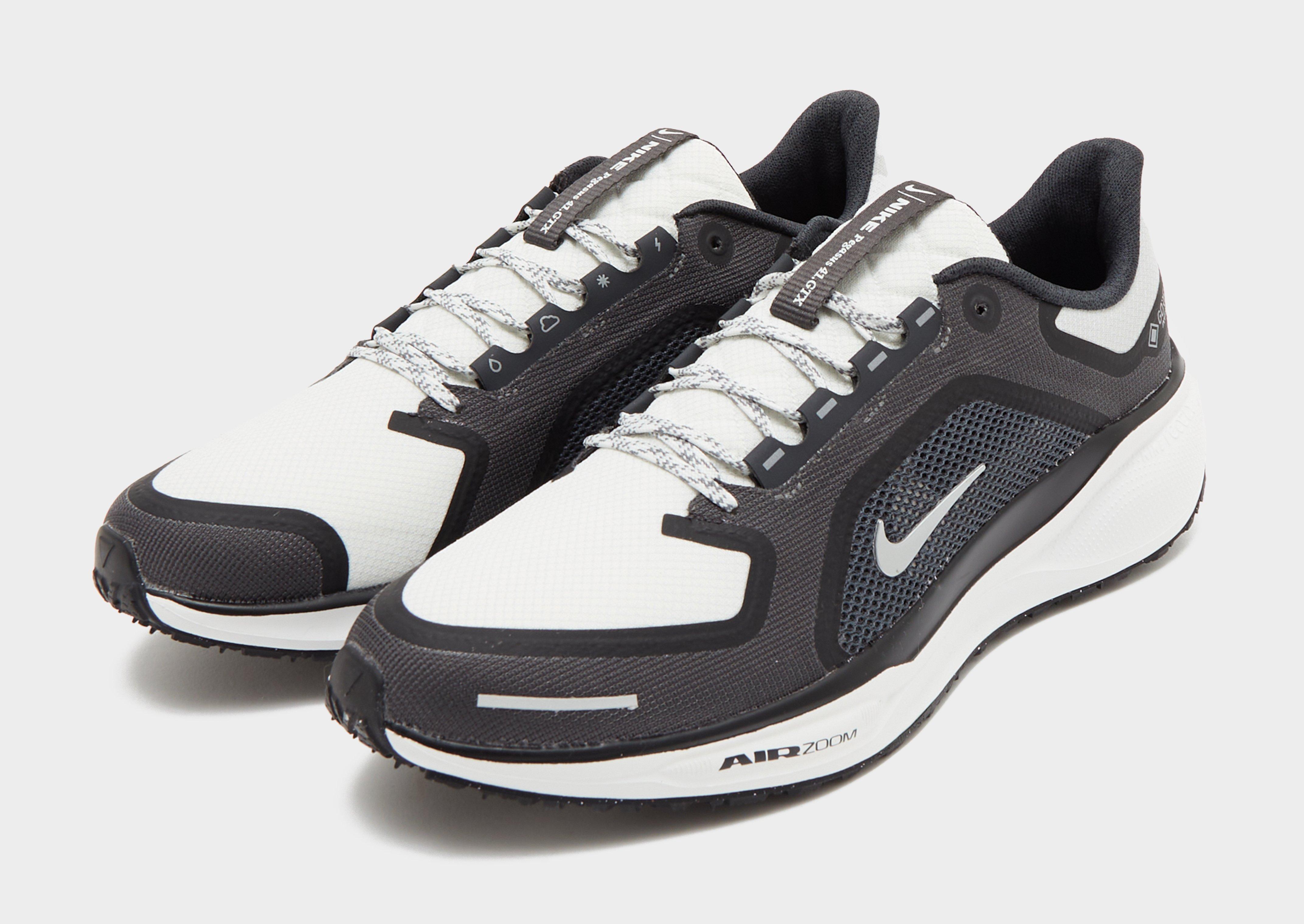 Nike Pegasus 41 GORE-TEX