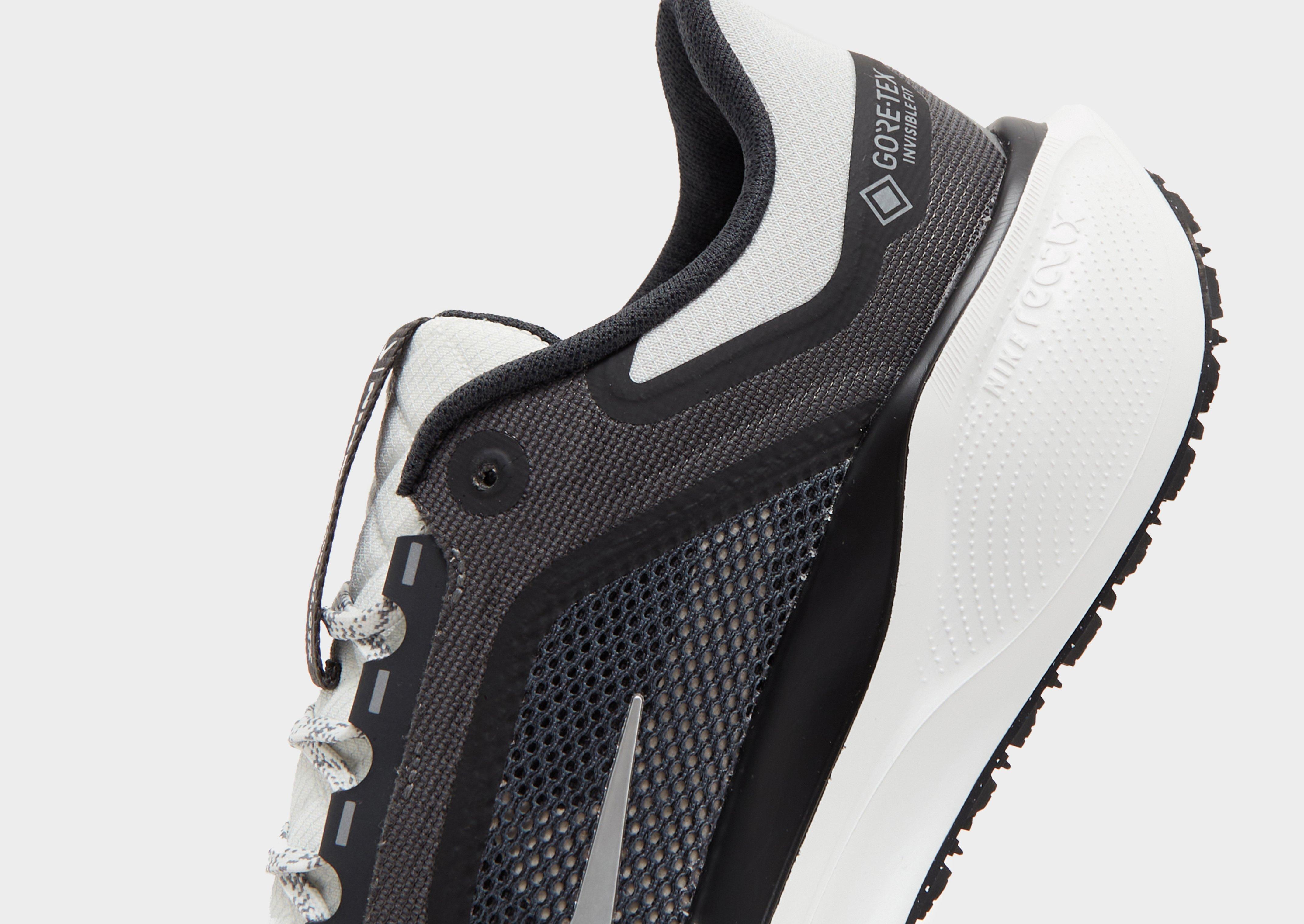 Nike Pegasus 41 GORE-TEX