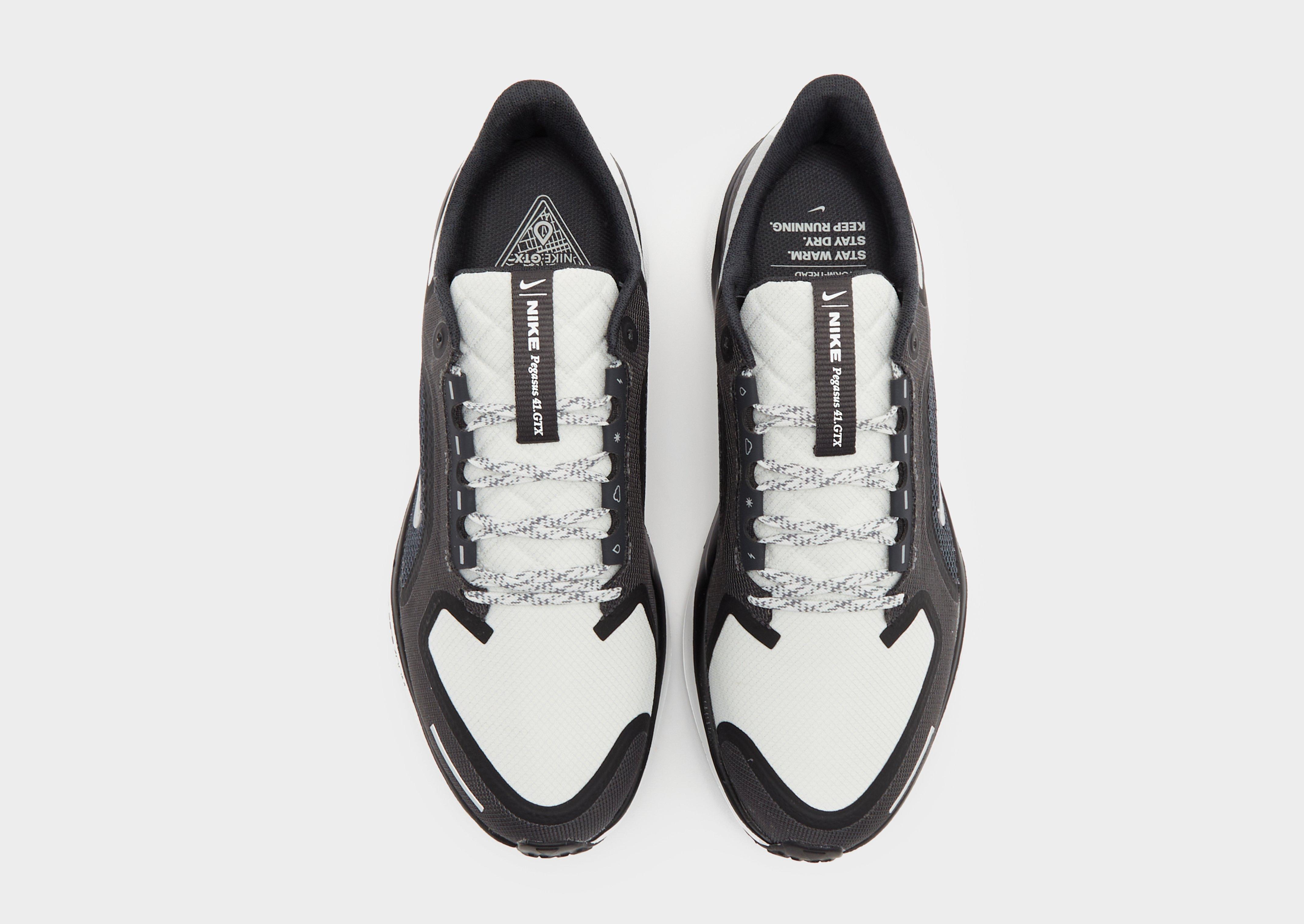 Nike Pegasus 41 GORE-TEX