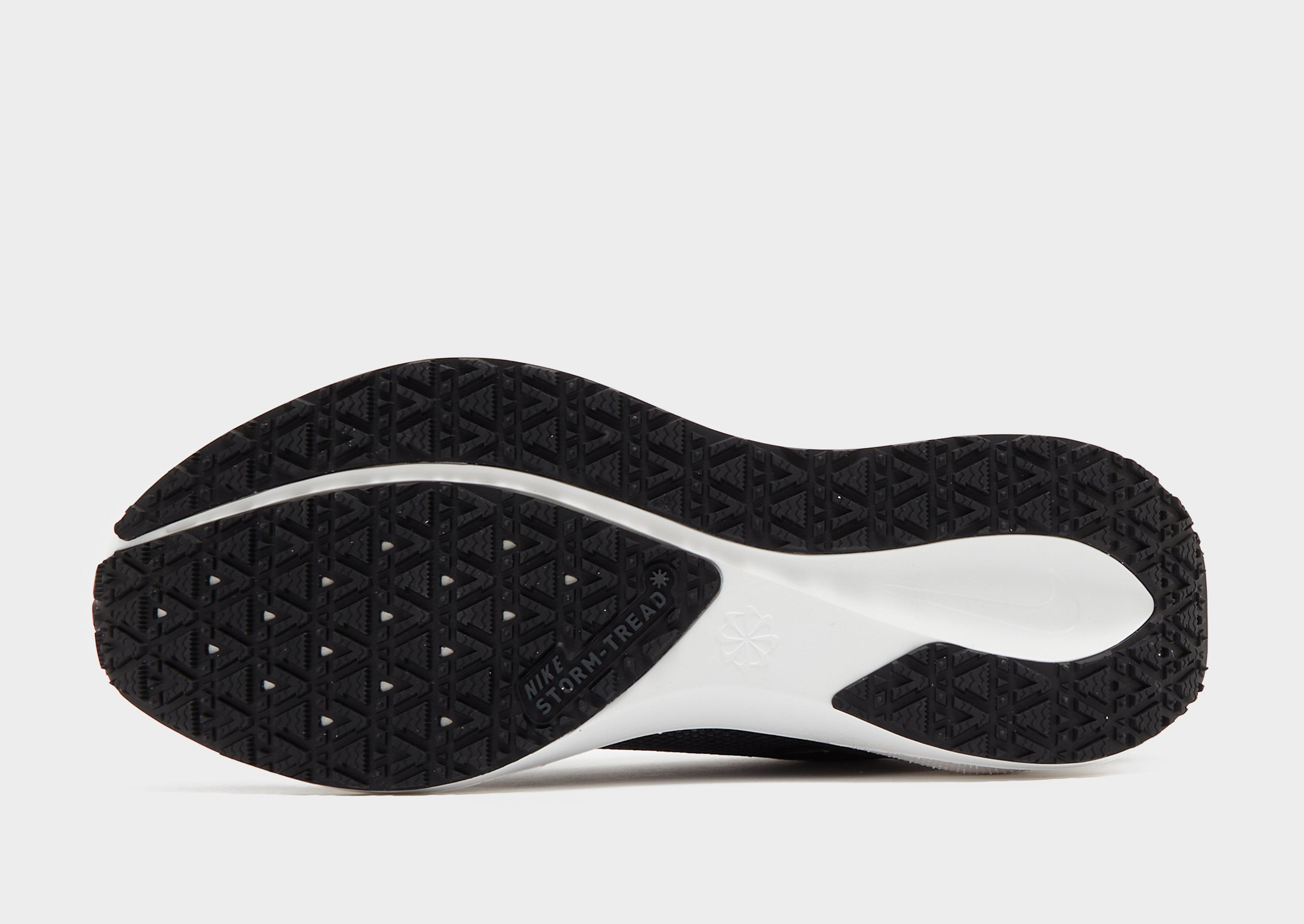 Nike Pegasus 41 GORE-TEX