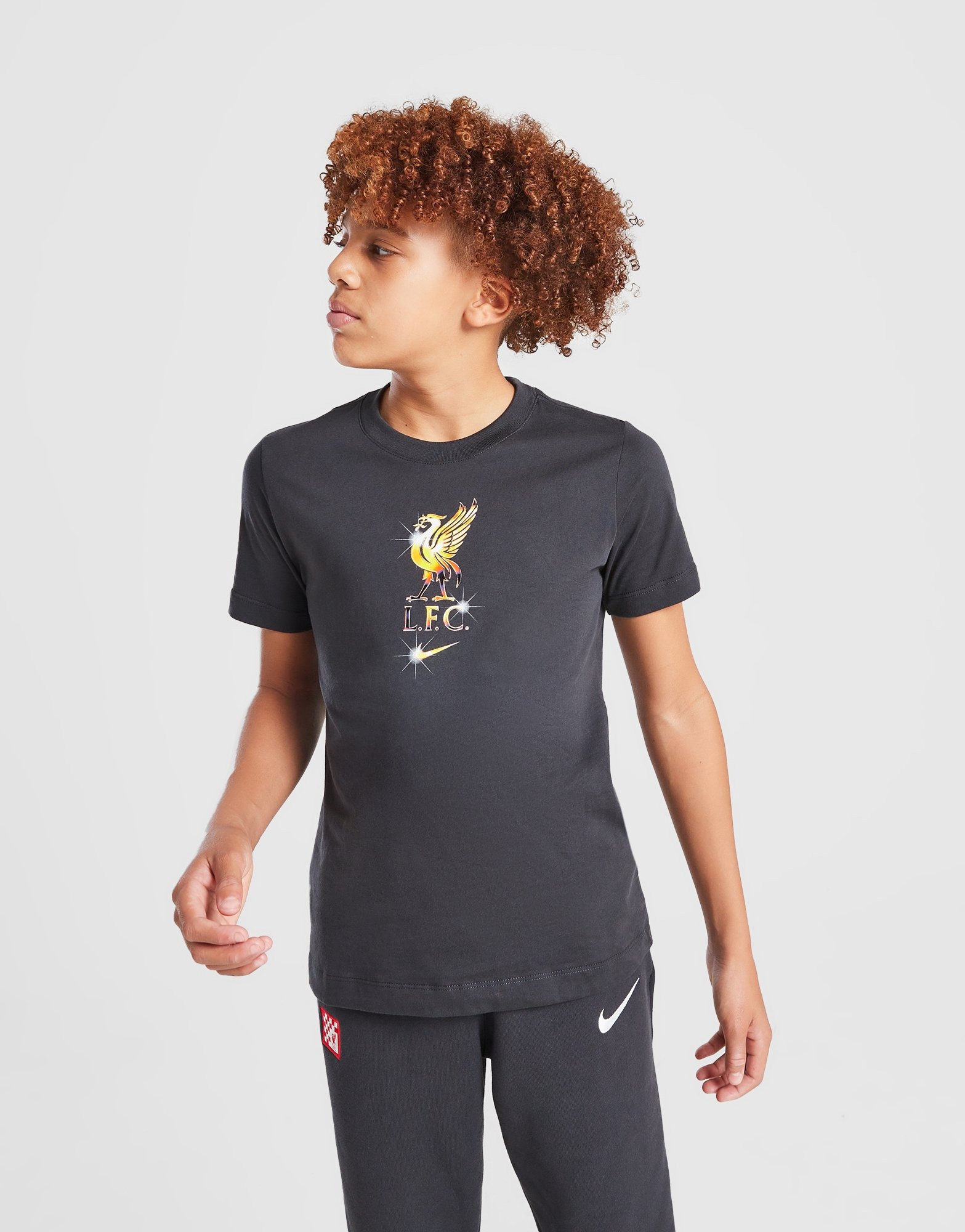 Grey Nike Liverpool FC Crest TShirt Junior JD Sports NZ