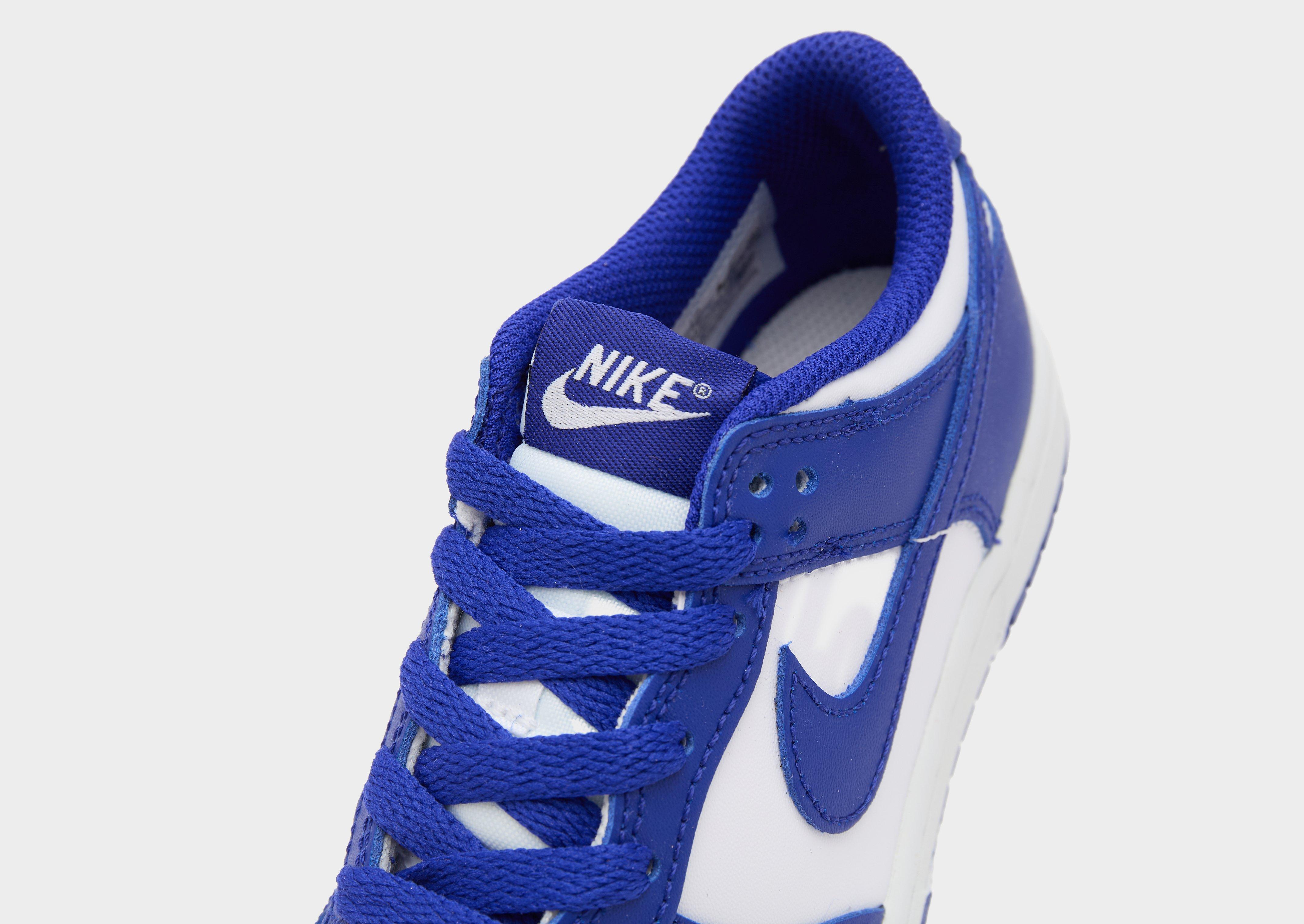 Nike Dunk Low Children