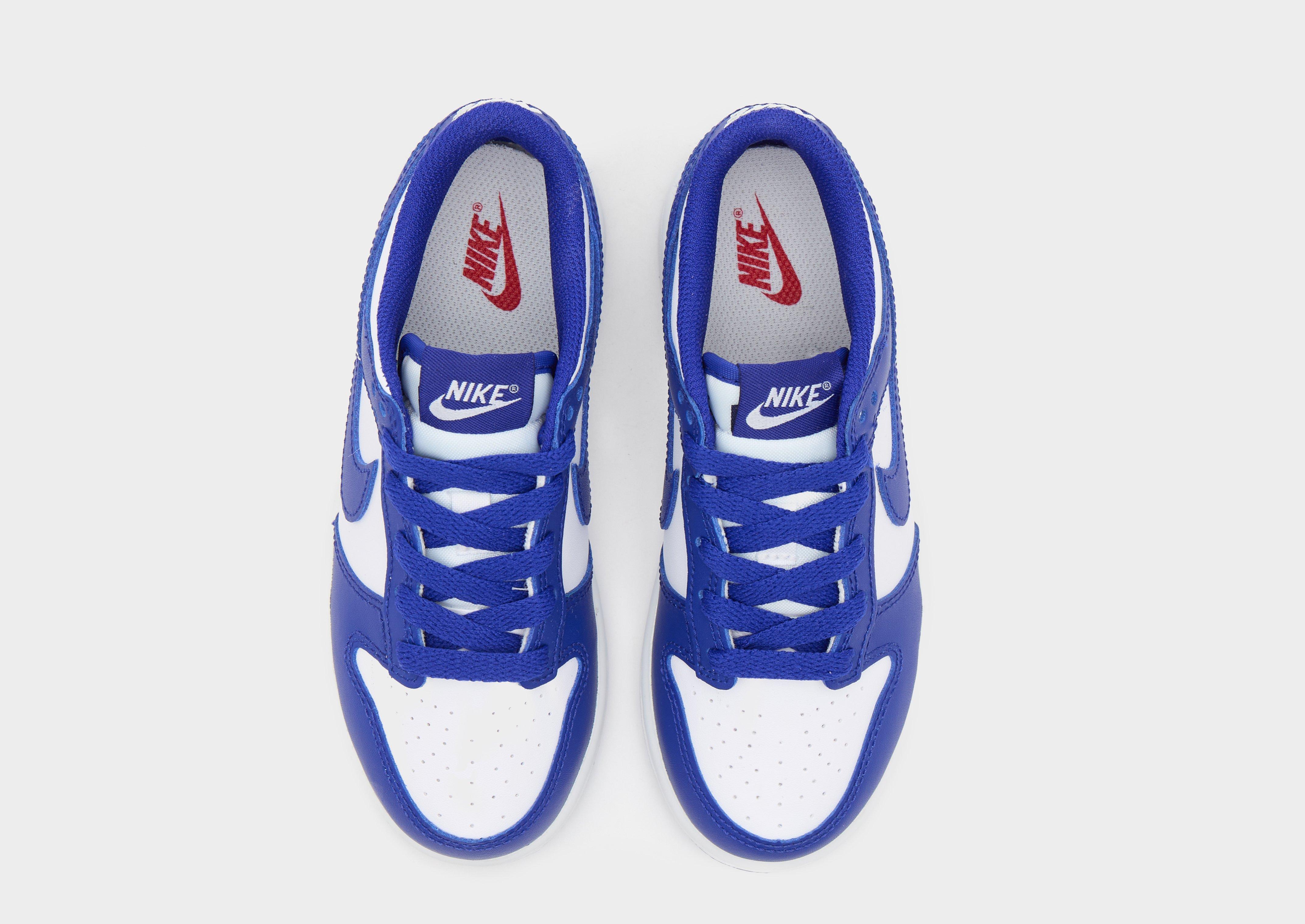 Nike Dunk Low Children