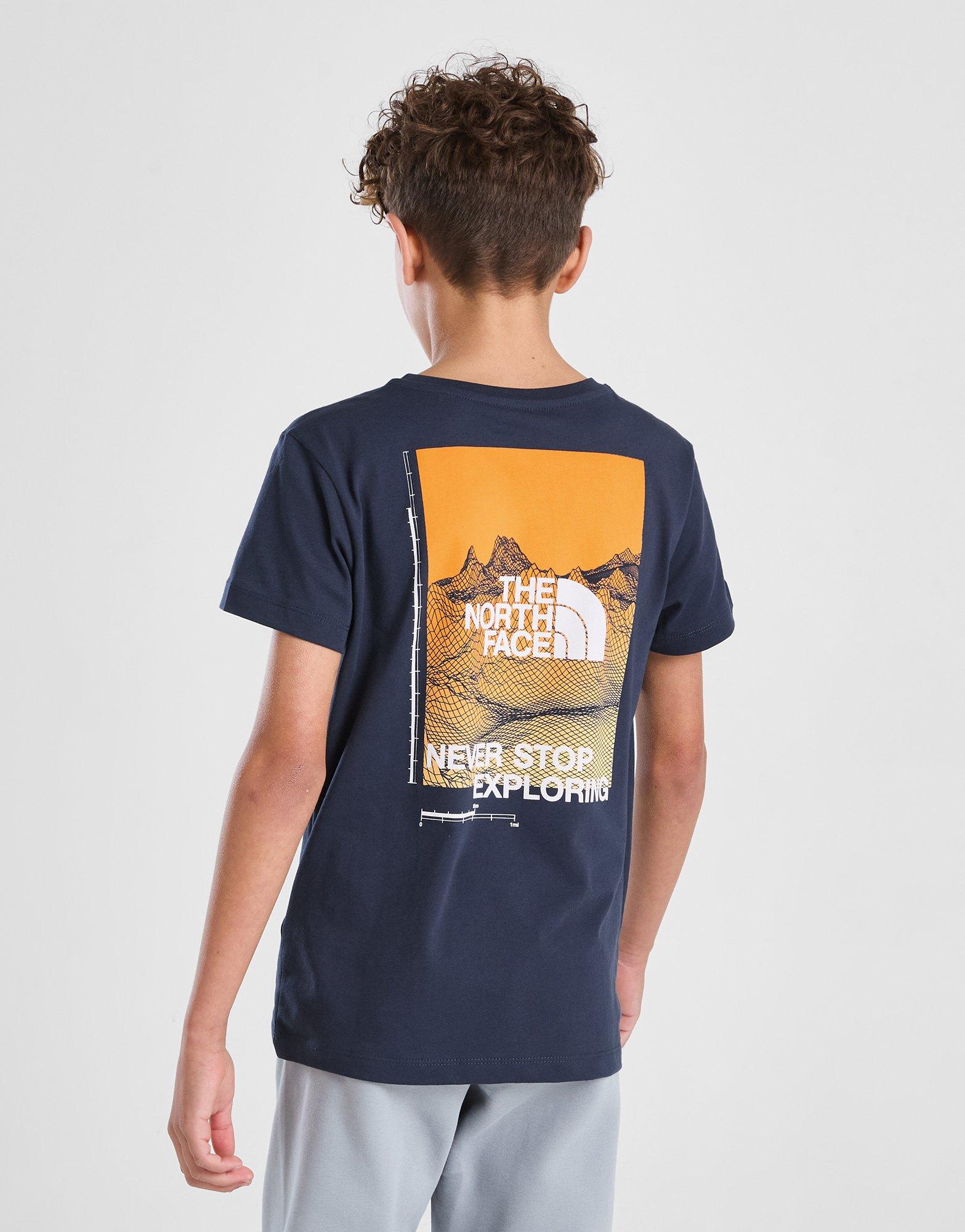 The North Face Camiseta Gradient júnior