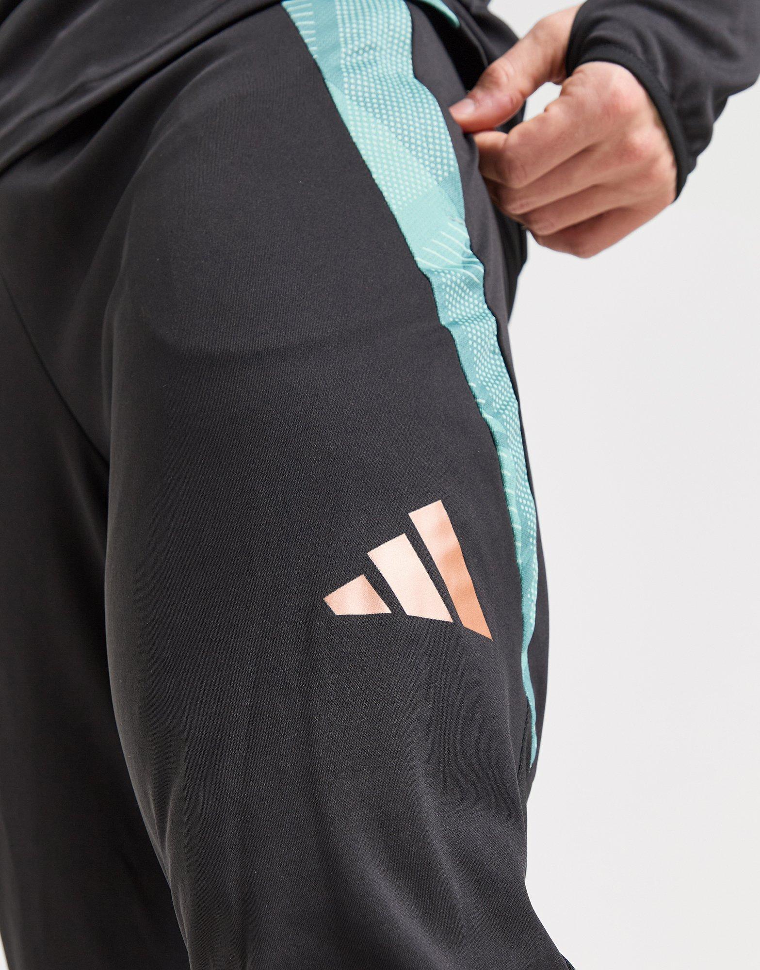 Black adidas FC Bayern Munich Training Track Pants | JD Sports UK