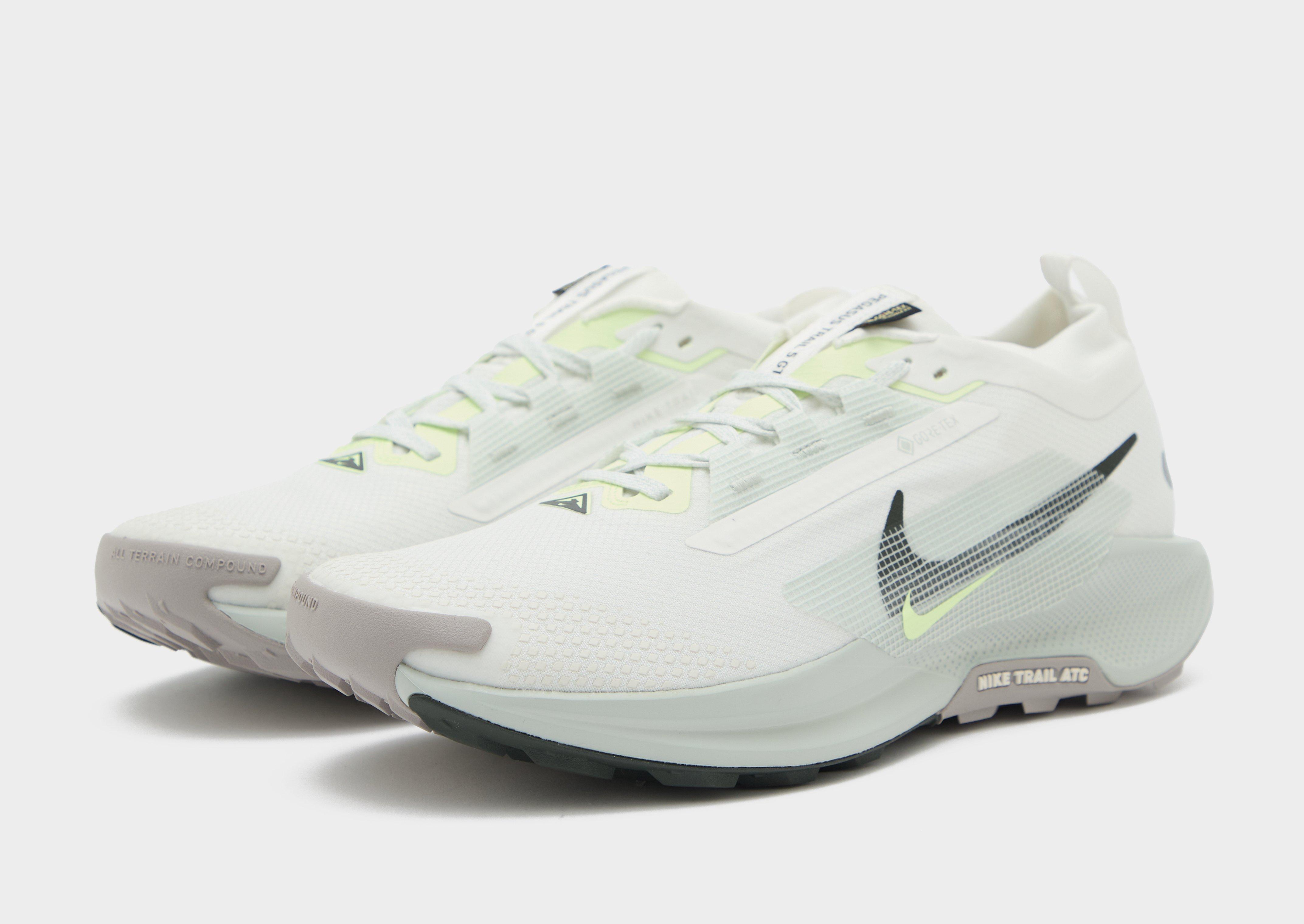 Nike Pegasus Trail 5 GORE-TEX