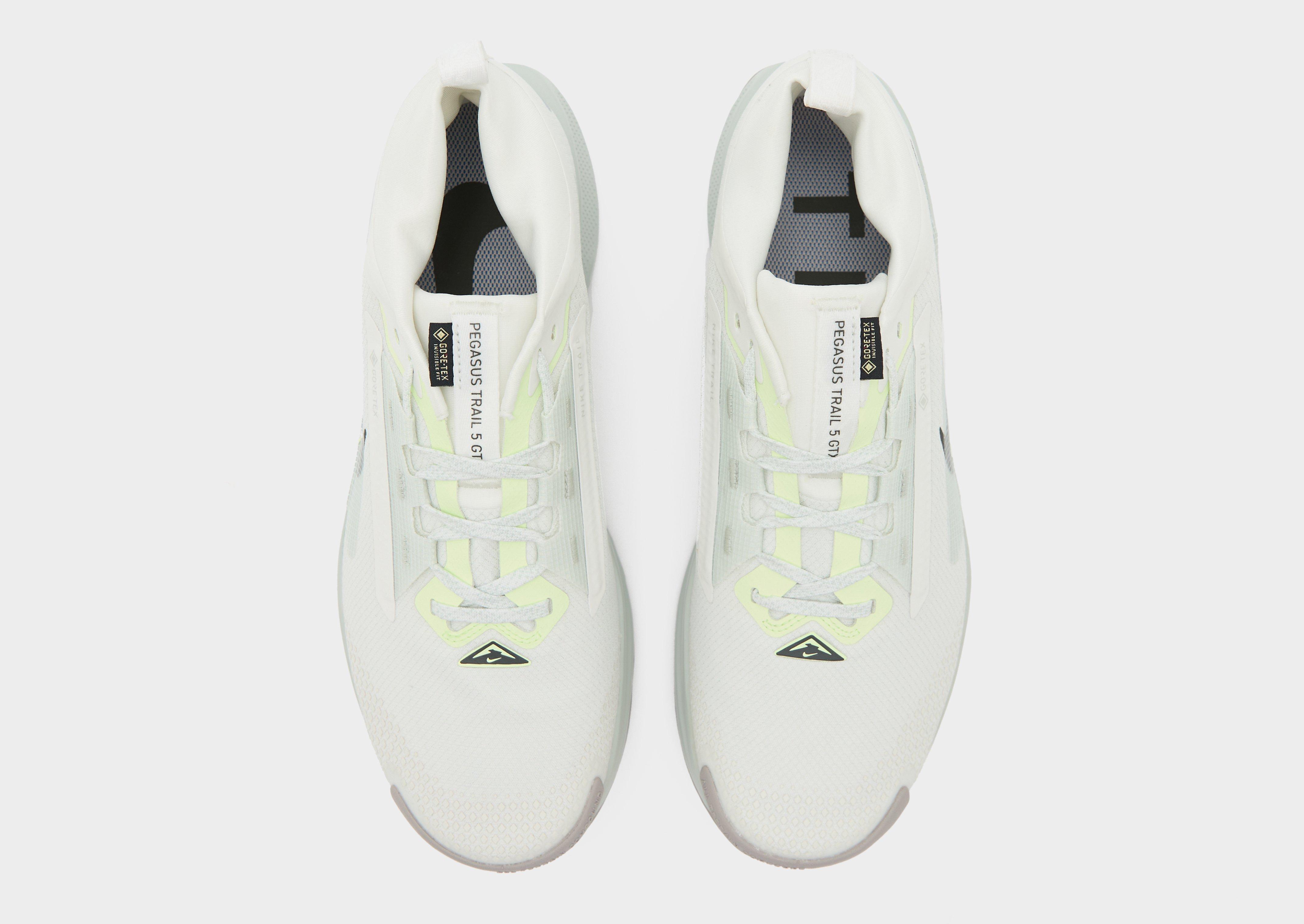 Nike Pegasus Trail 5 GORE-TEX