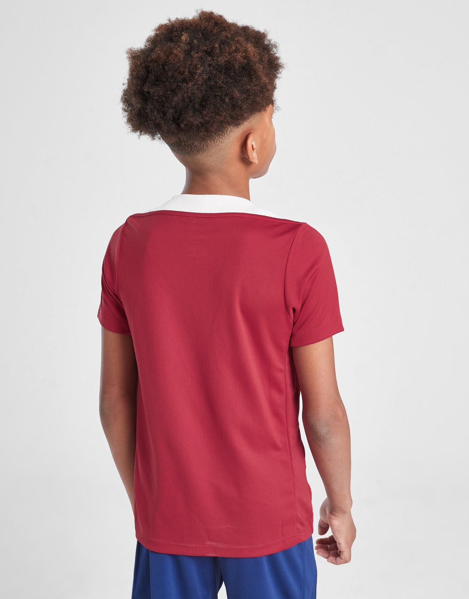 Nike Paris Saint Germain Strike T-Shirt Junior