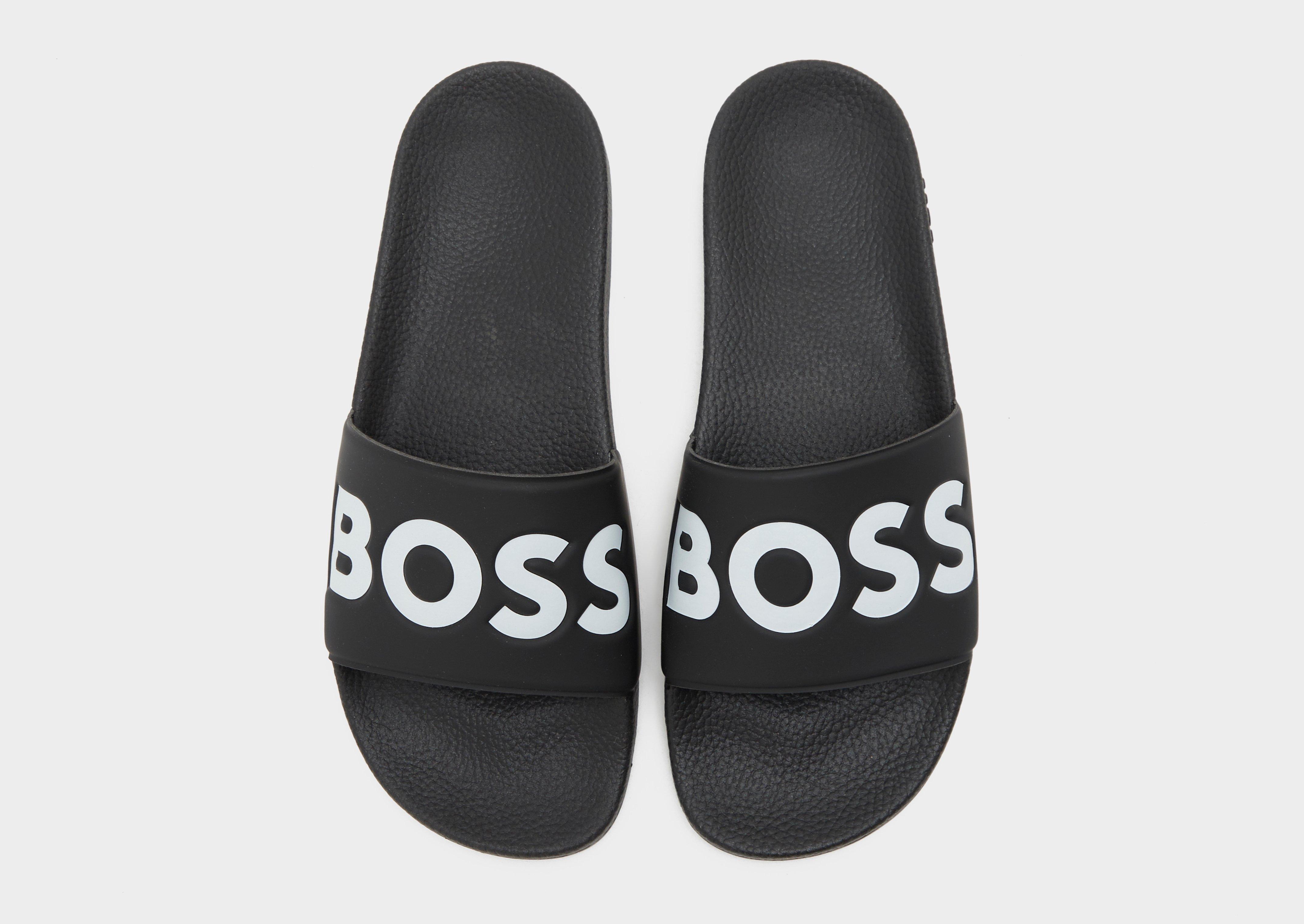 BOSS Aryeh Slides