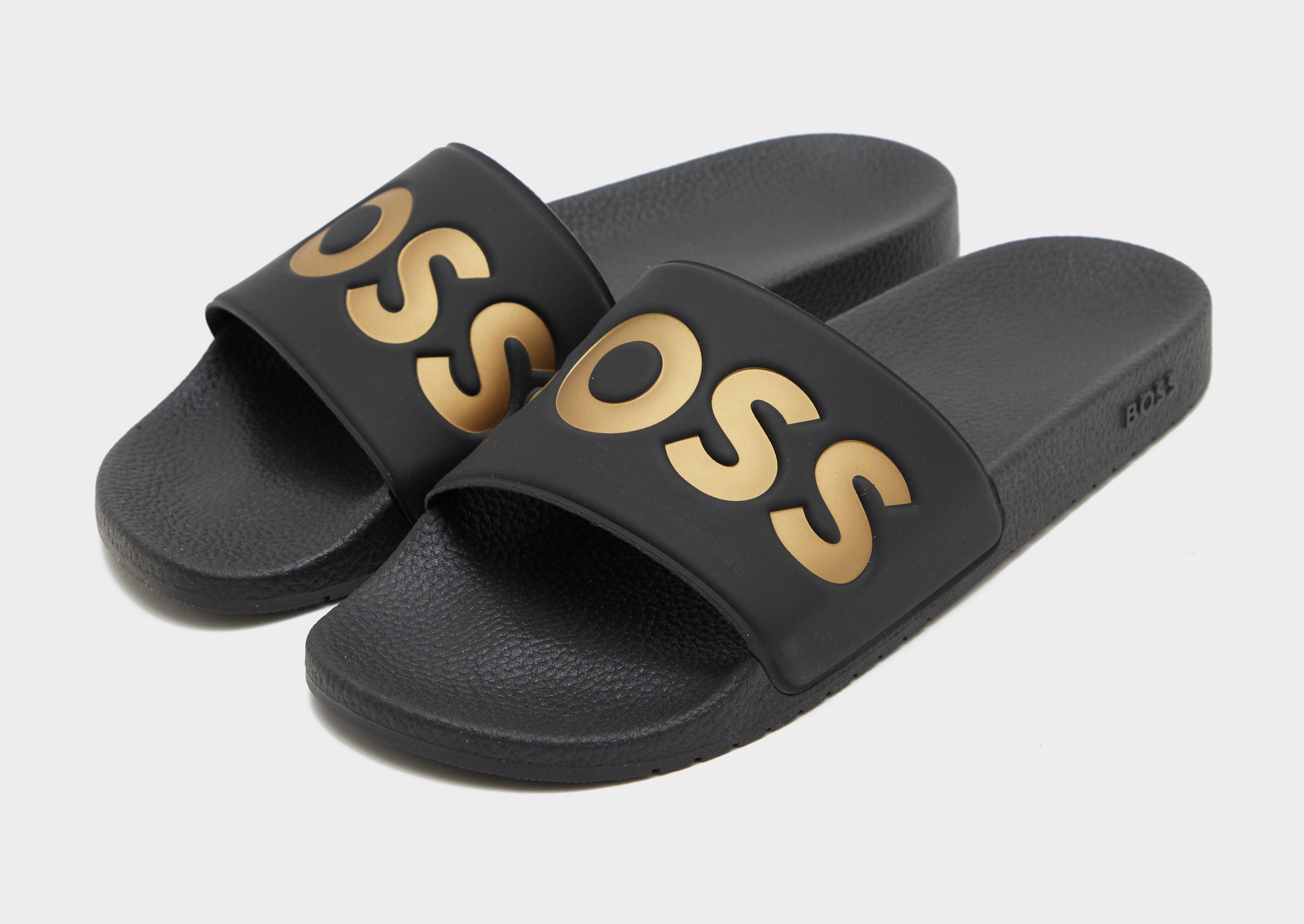BOSS Aryeh Slides