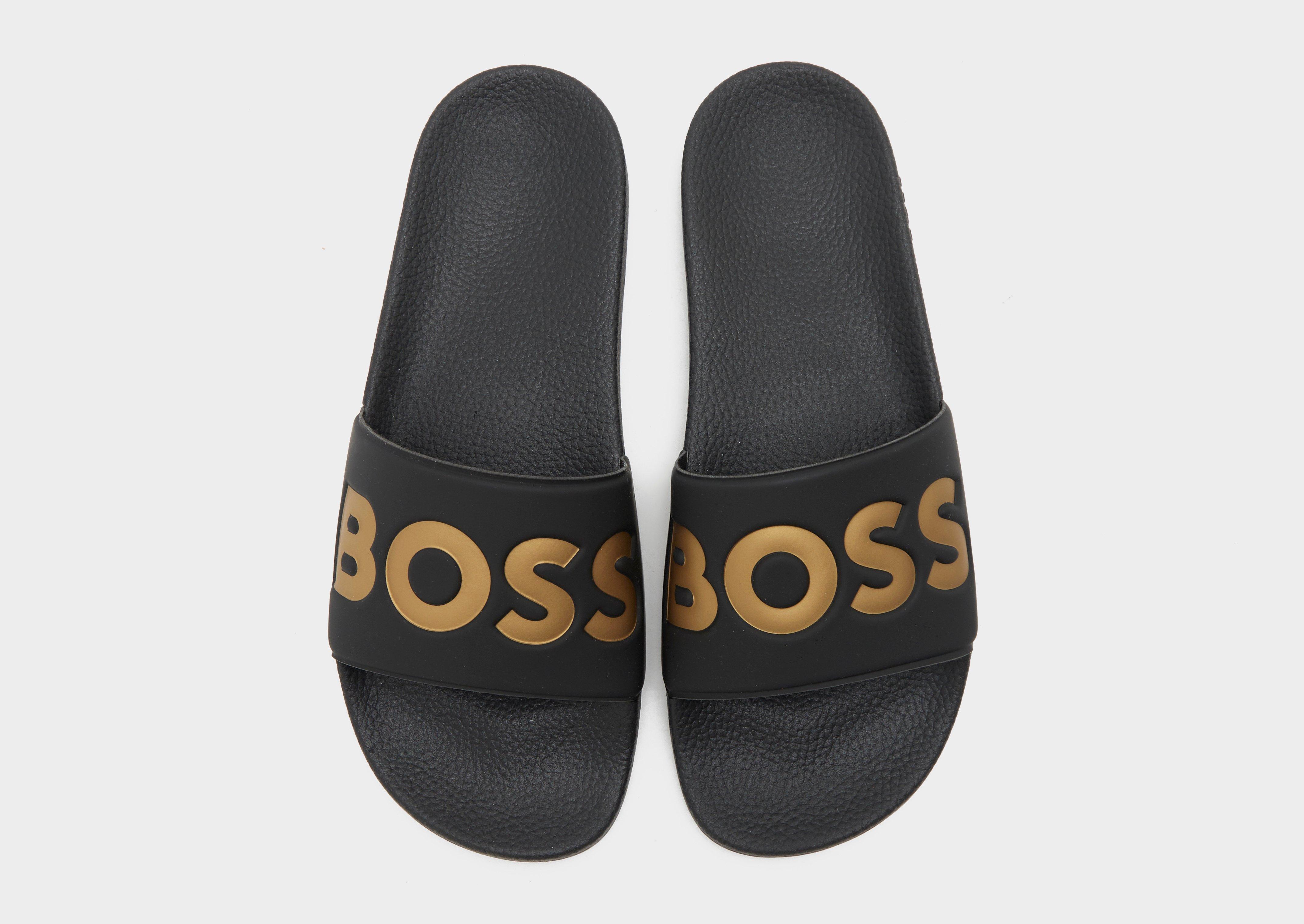 BOSS Aryeh Slides