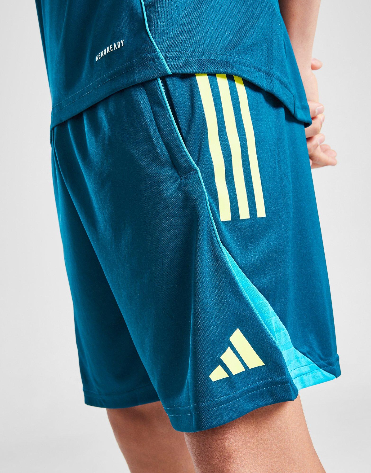 adidas Northern Ireland Tiro 25 Training Shorts Junior