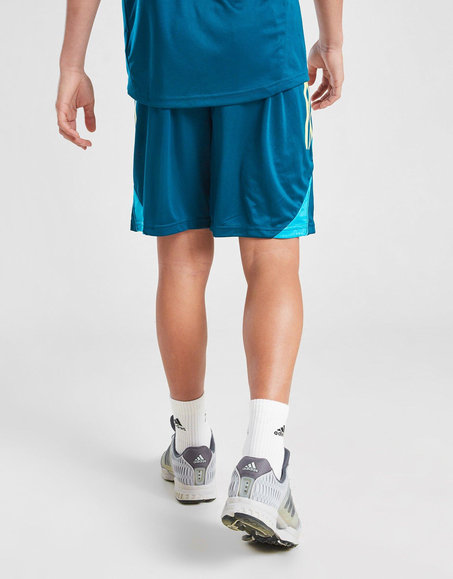 adidas Northern Ireland Tiro 25 Training Shorts Junior