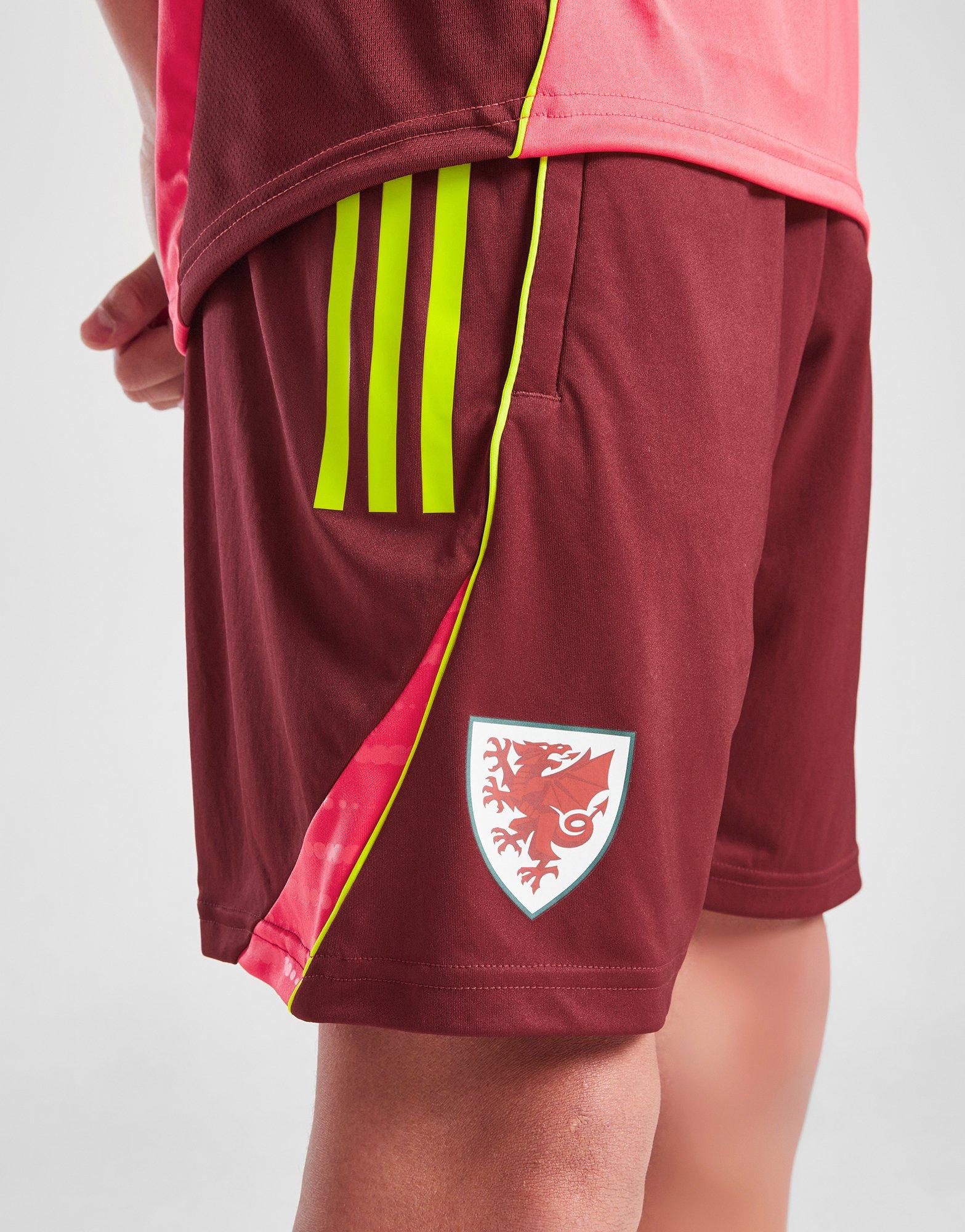 adidas Wales WEC Tiro 25 Training Shorts Junior