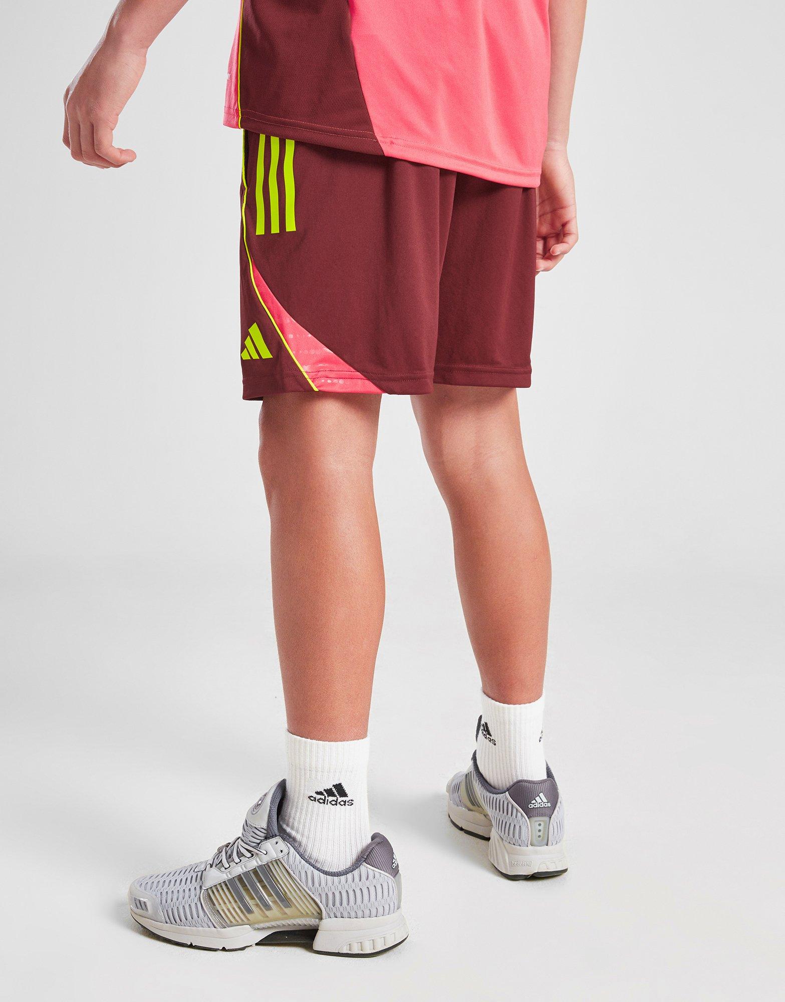 adidas Wales WEC Tiro 25 Training Shorts Junior