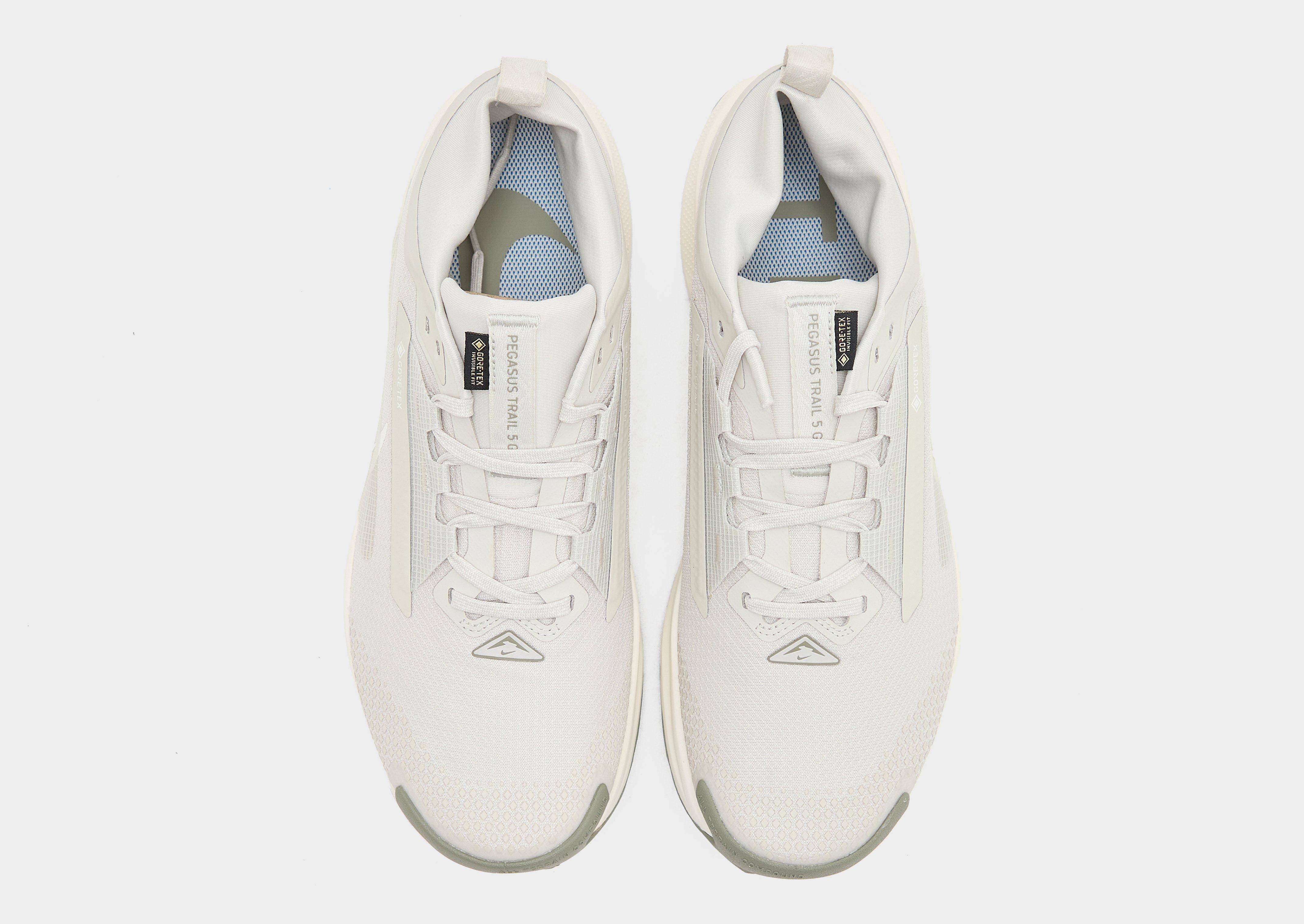 Nike Pegasus Trail 5 GORE-TEX