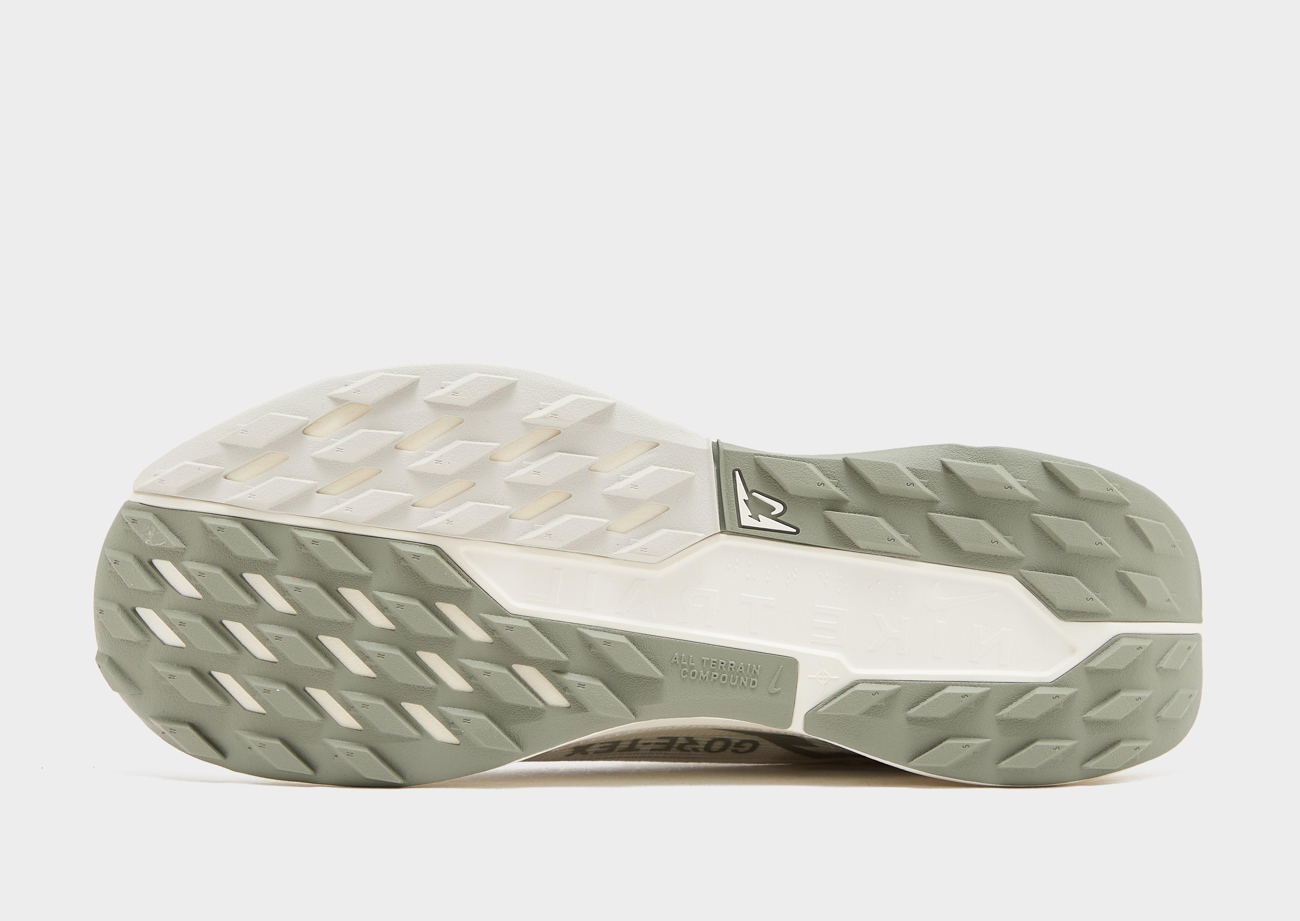 Nike Pegasus Trail 5 GORE-TEX